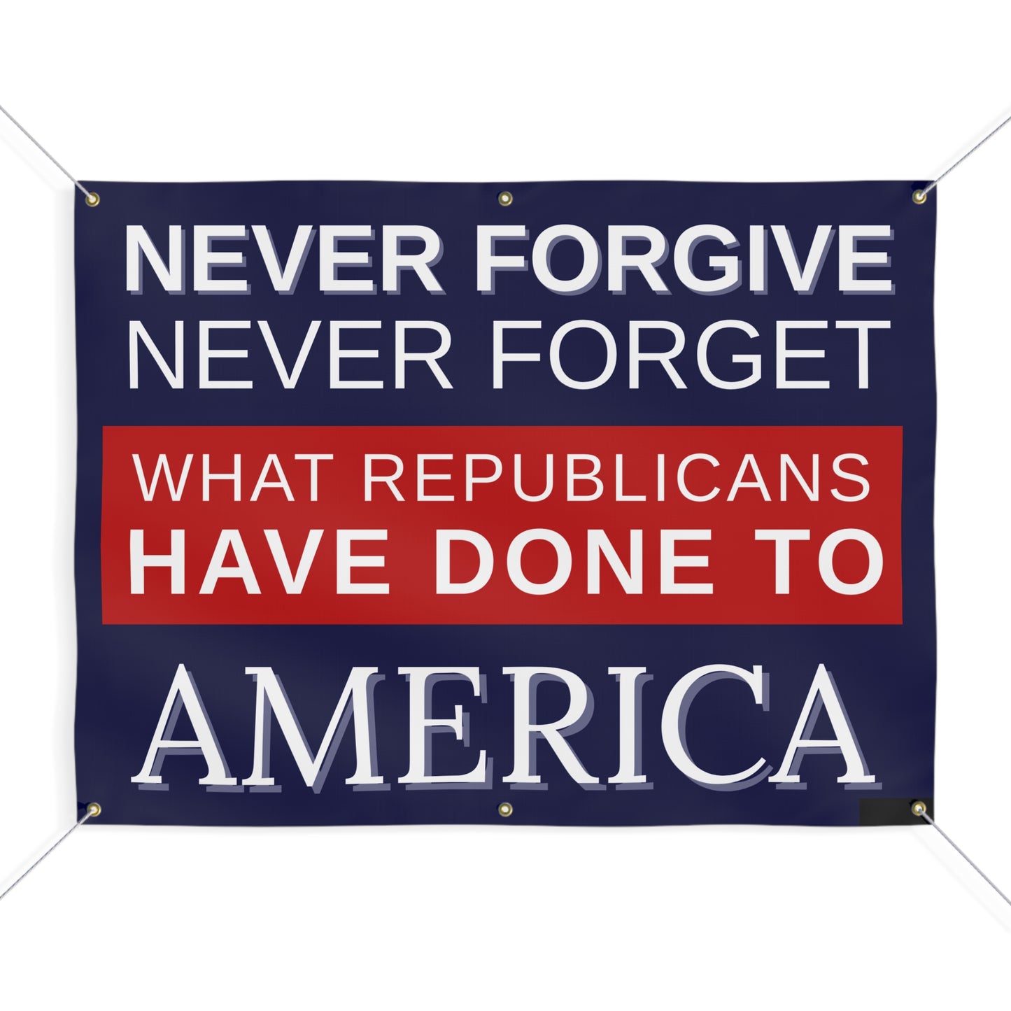 Anti Trump Banner, Protest Banner, Activist Banner, Anti Republican Banner, Free Shipping