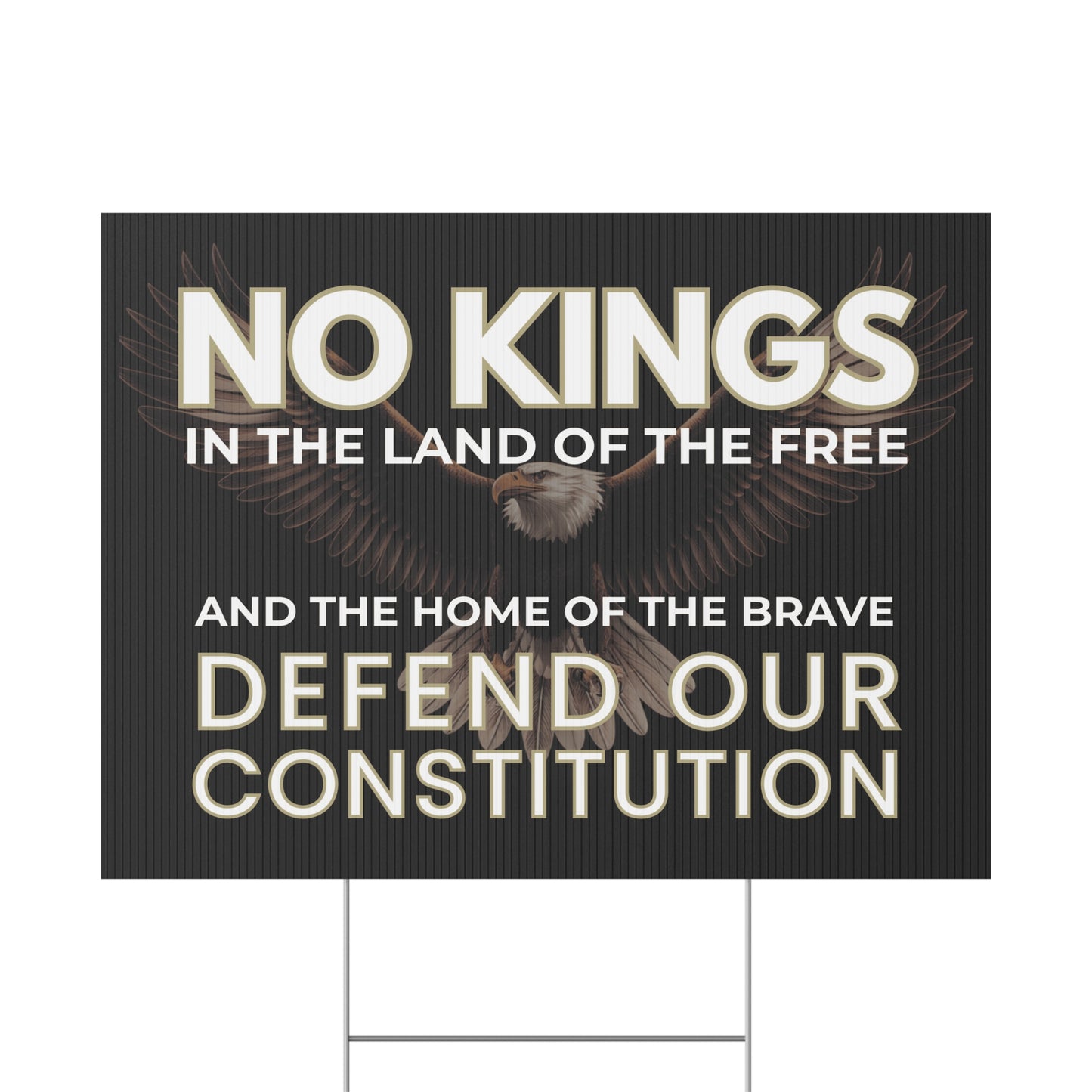 No Kings Yard Sign, No Kings Protest Sign, Patriotic Yard Sign, Defend Constitution, Protest Signs, Anti Trump Yard Signs, Multiple Sizes