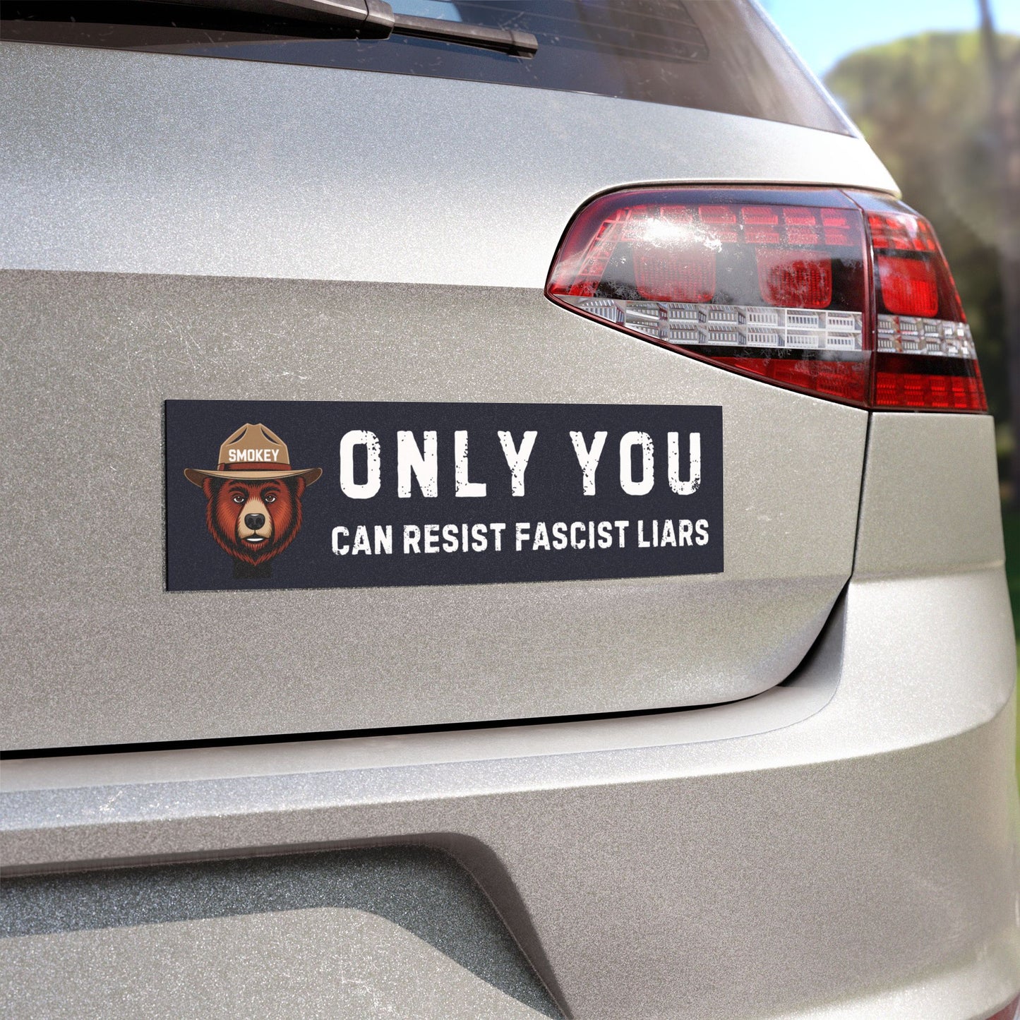 Only You Can Resist Fascist Liars Magnet | Political Car Magnet | Fascism Magnet