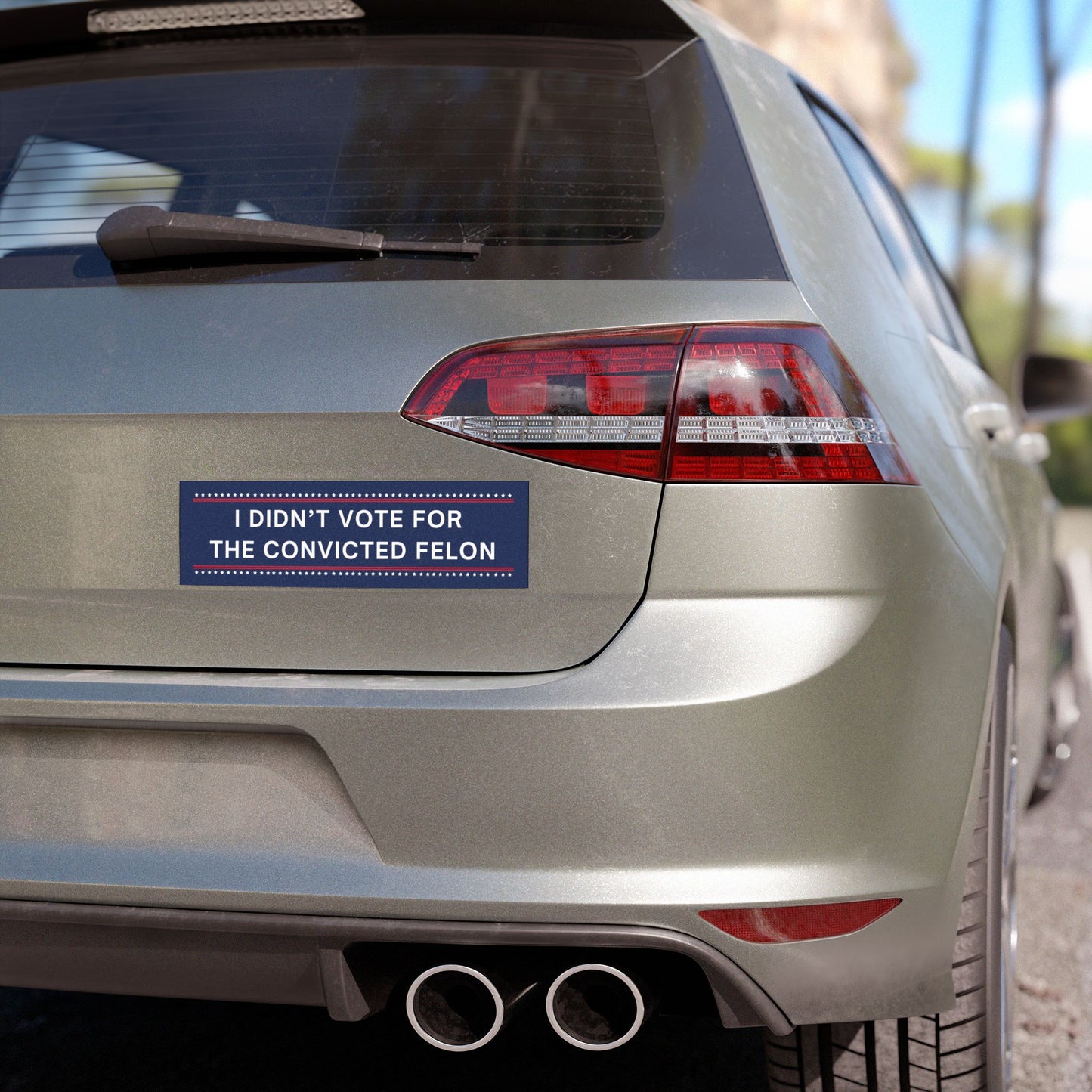 I Didn't Vote for the Convicted Felon Car Magnet, Anti Trump Magnet, Democrat Magnet, Resistance Magnet, Opposition Magnet, Political Magnet