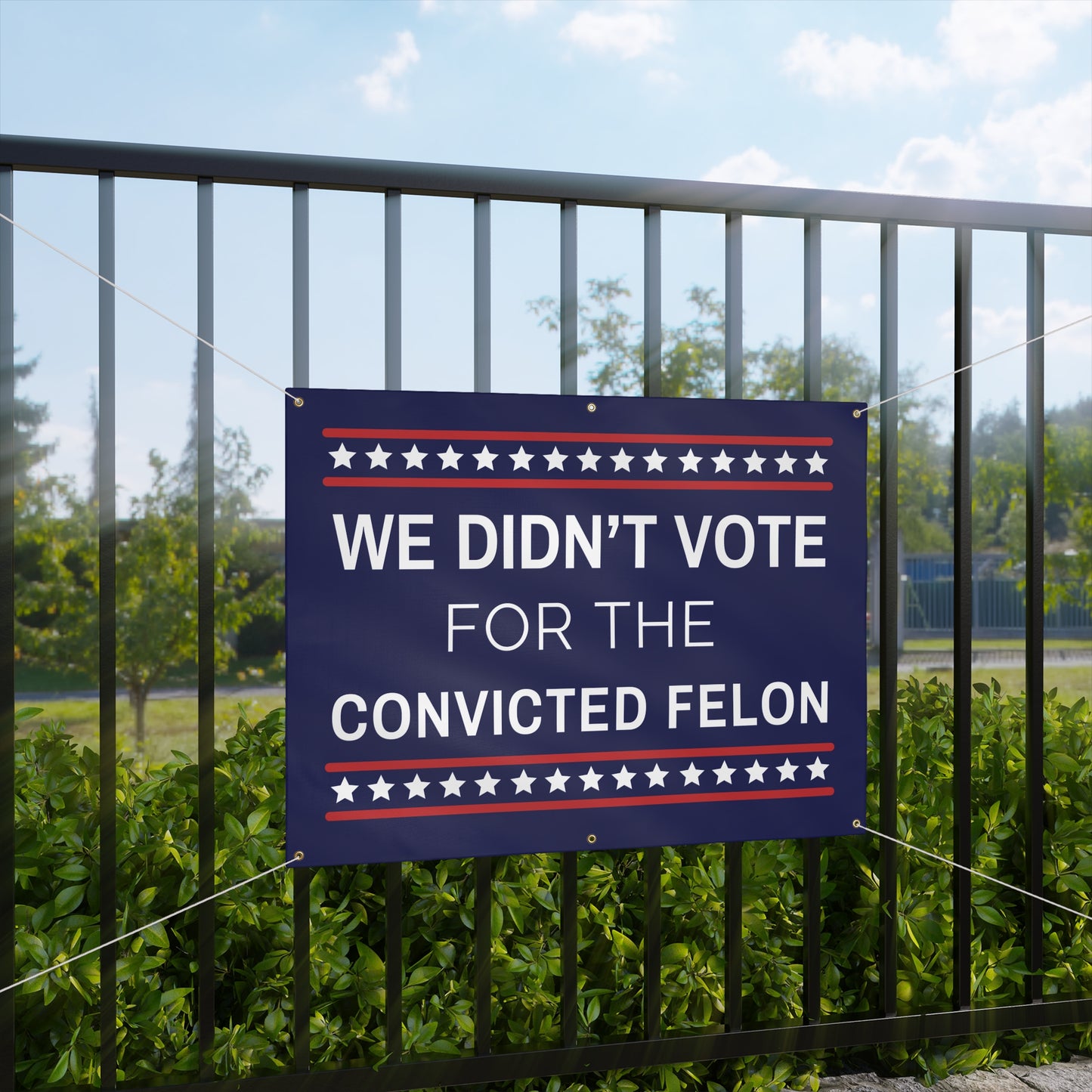 We Didn't Vote for the Convicted Felon Banner, Anti Trump Banner, Matte Vinyl Indoor/Outdoor Banner, Free Shipping, Protest Banner