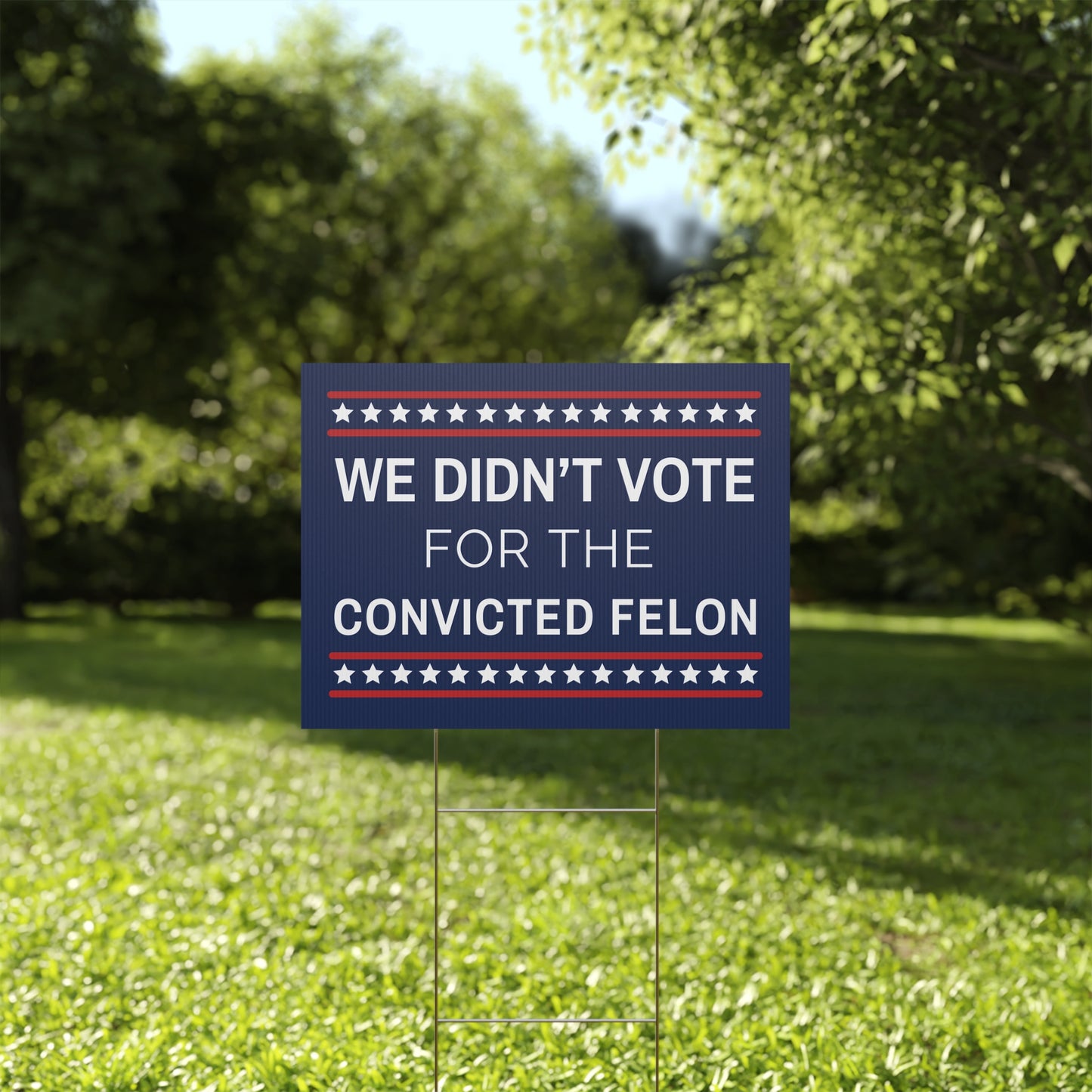 We Didn't Vote for the Convicted Felon Yard Sign, Anti Trump Yard Sign, Anti Trump Lawn Sign, Democracy Yard Sign, Democracy Lawn Sign