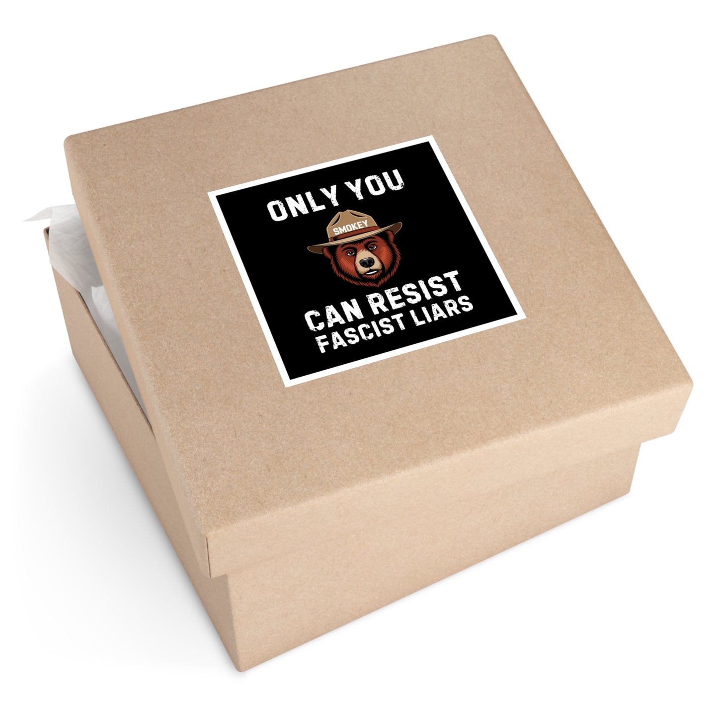 Only You Can Resist Fascist Liars Sticker, Anti Maga Sticker, Fascism Sticker