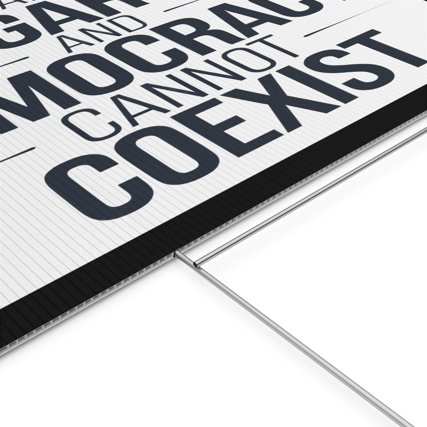 Oligarchy Democracy Yard Sign, Anti Trump Yard Sign, Anti Trump Lawn Sign, Democracy Yard Sign, Democracy Lawn Sign, Political Yard Sign