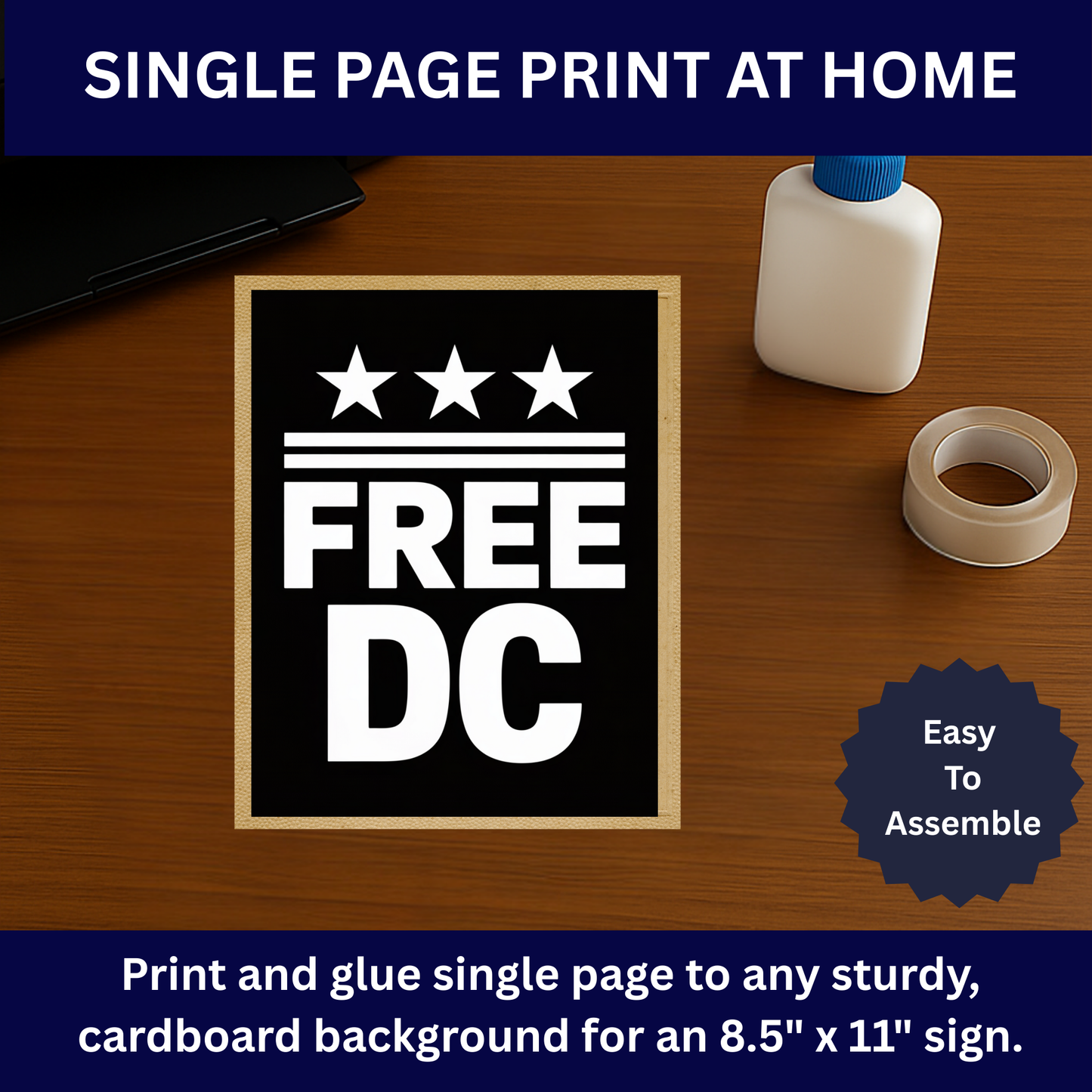 DC Protest Signs, Free DC Signs, 3 Signs Included, Print at Home or Enlarge Locally, Printable Protest Signs, Anti Trump Protest Signs