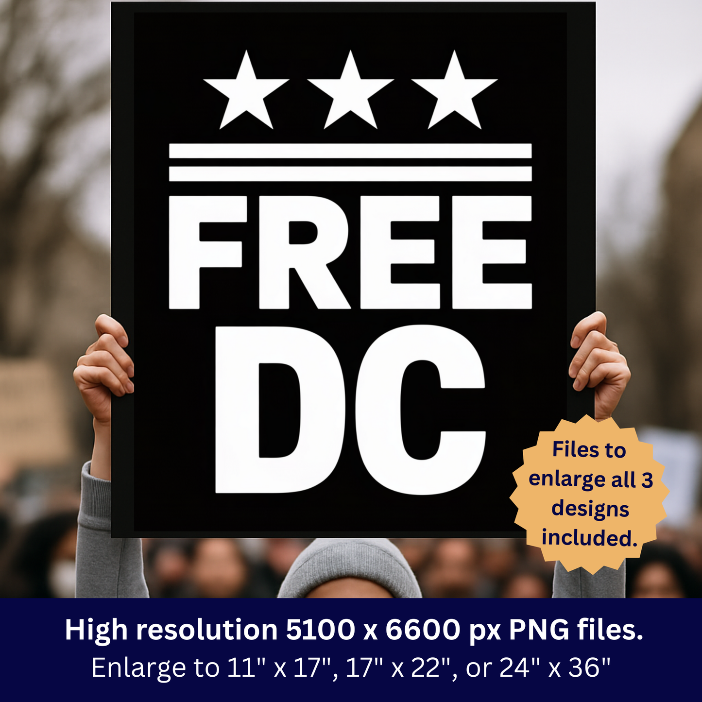 DC Protest Signs, Free DC Signs, 3 Signs Included, Print at Home or Enlarge Locally, Printable Protest Signs, Anti Trump Protest Signs