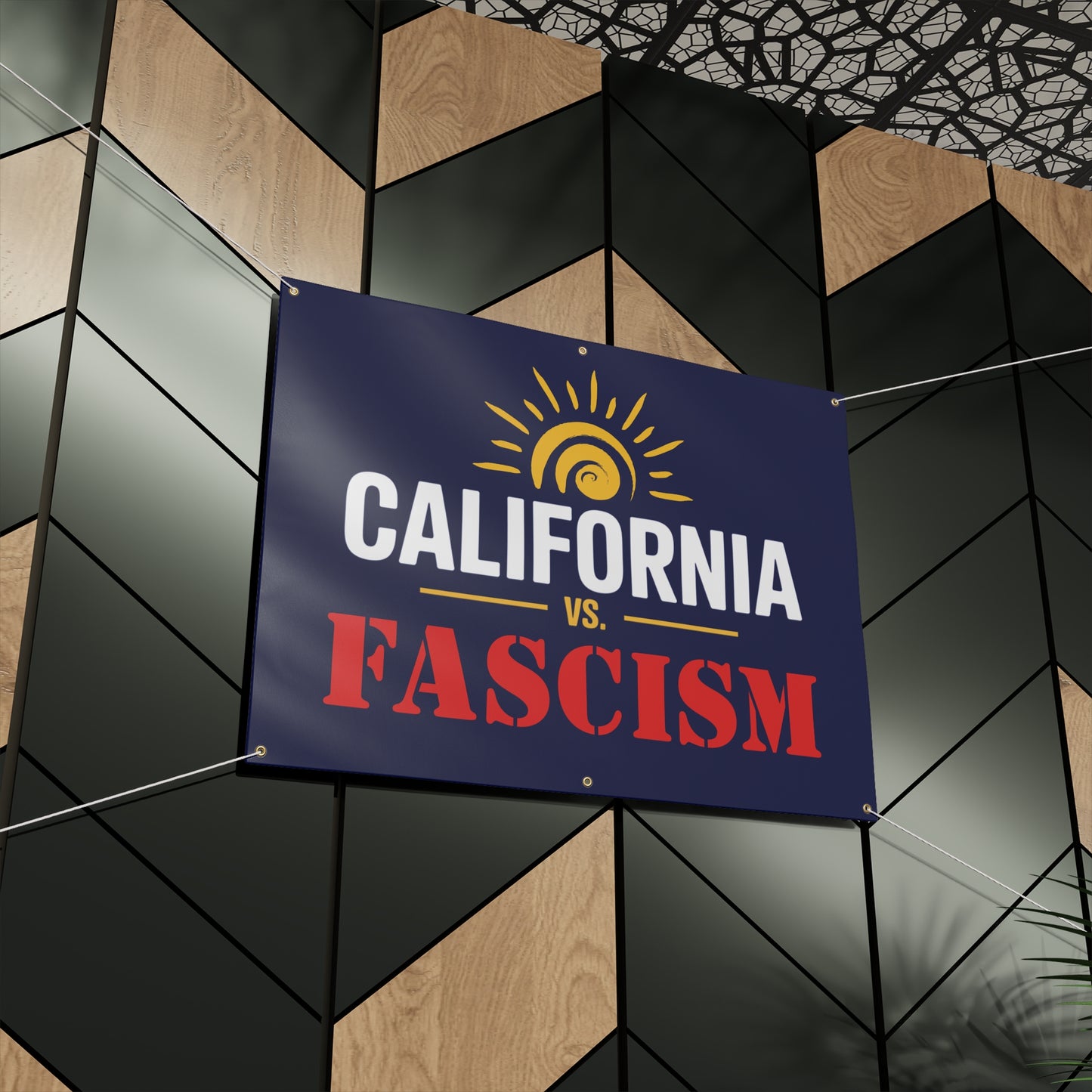 California vs. Fascism Banner, Yes to Prop 50 Banner, Election Rigging Response Act Banner, 2 Sizes, Hanging Ropes Included, Free Shipping