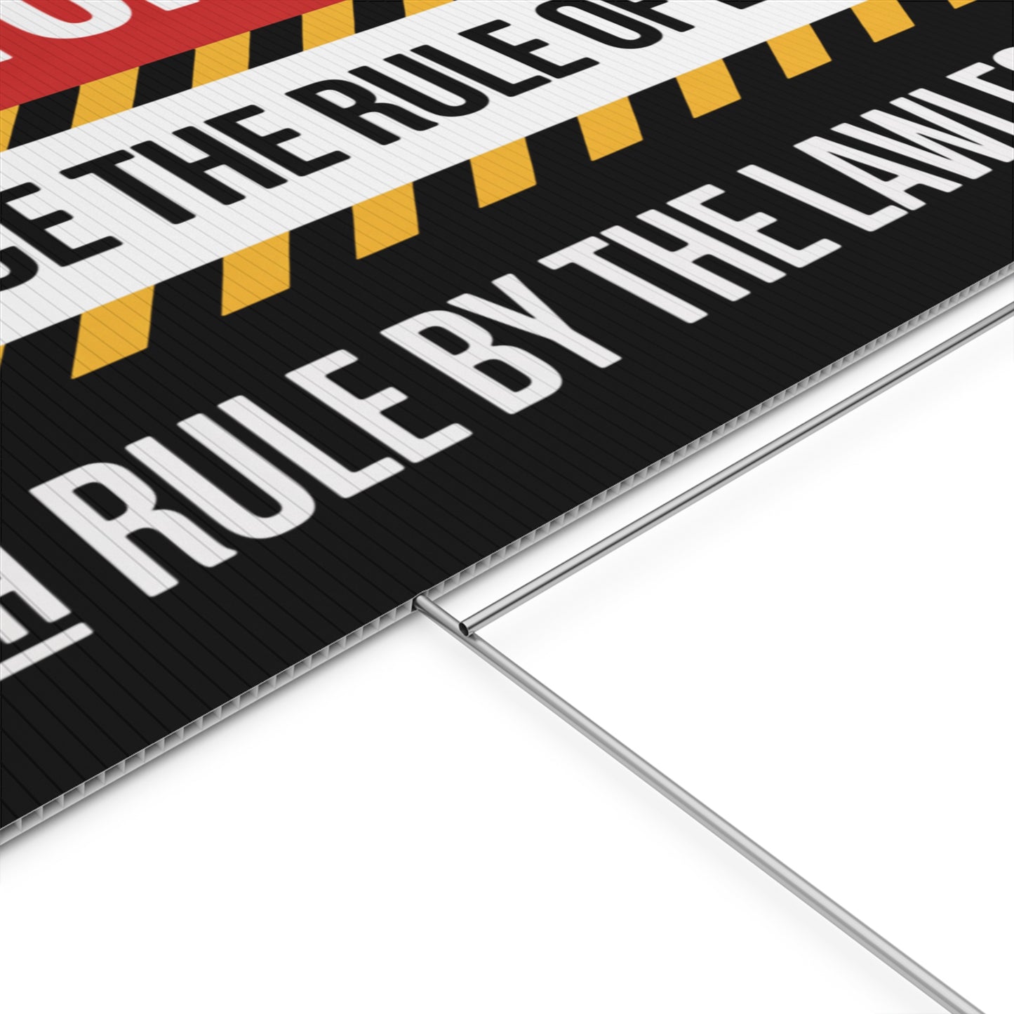 Dictator Yard Sign, Protest Signs, Anti Fascist Yard Sign, Anti Trump Yard Signs, Political yard Sign, Print on Both Sides, 24" x 18"