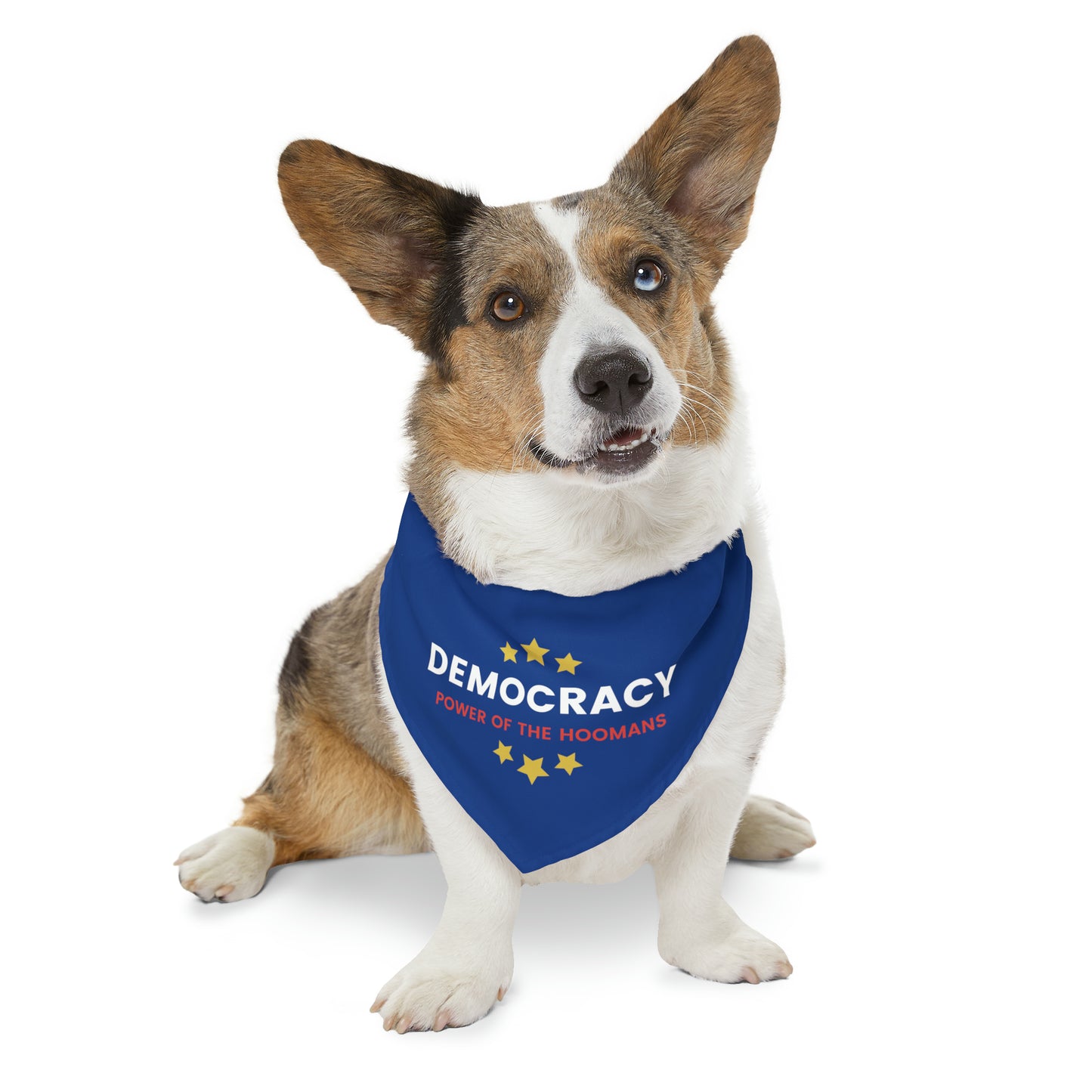 Democracy Power of Hoomans Pet Bandana Collar, Multiple Sizes, Pets for Democracy, Custom Pet Clothing, Democracy Signs