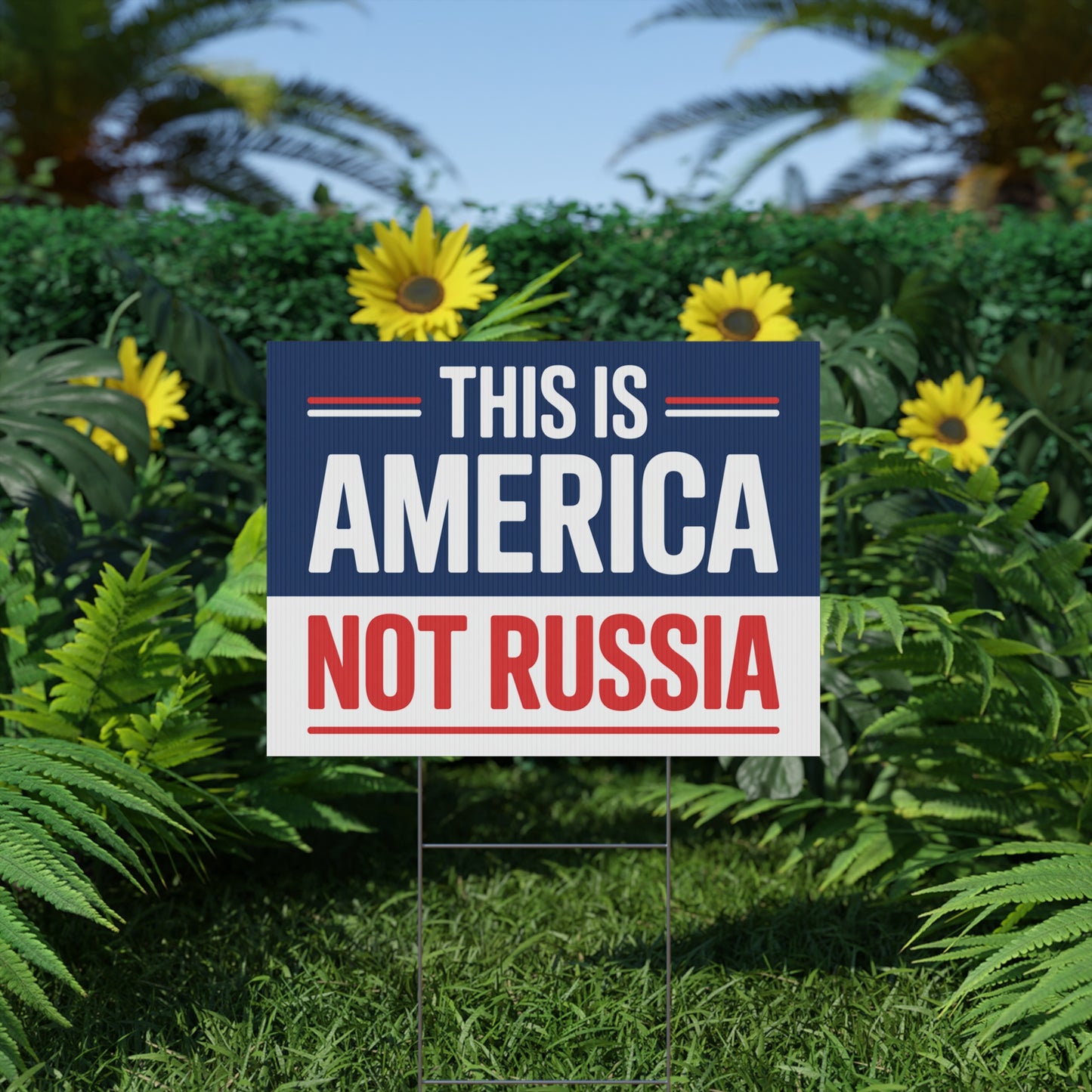 This is America Not Russia Yard Sign, Trump Takeover Signs, Free DC Sign, Hands Off Signs, Anti Trump Yard Signs, Resistance Yard Signs