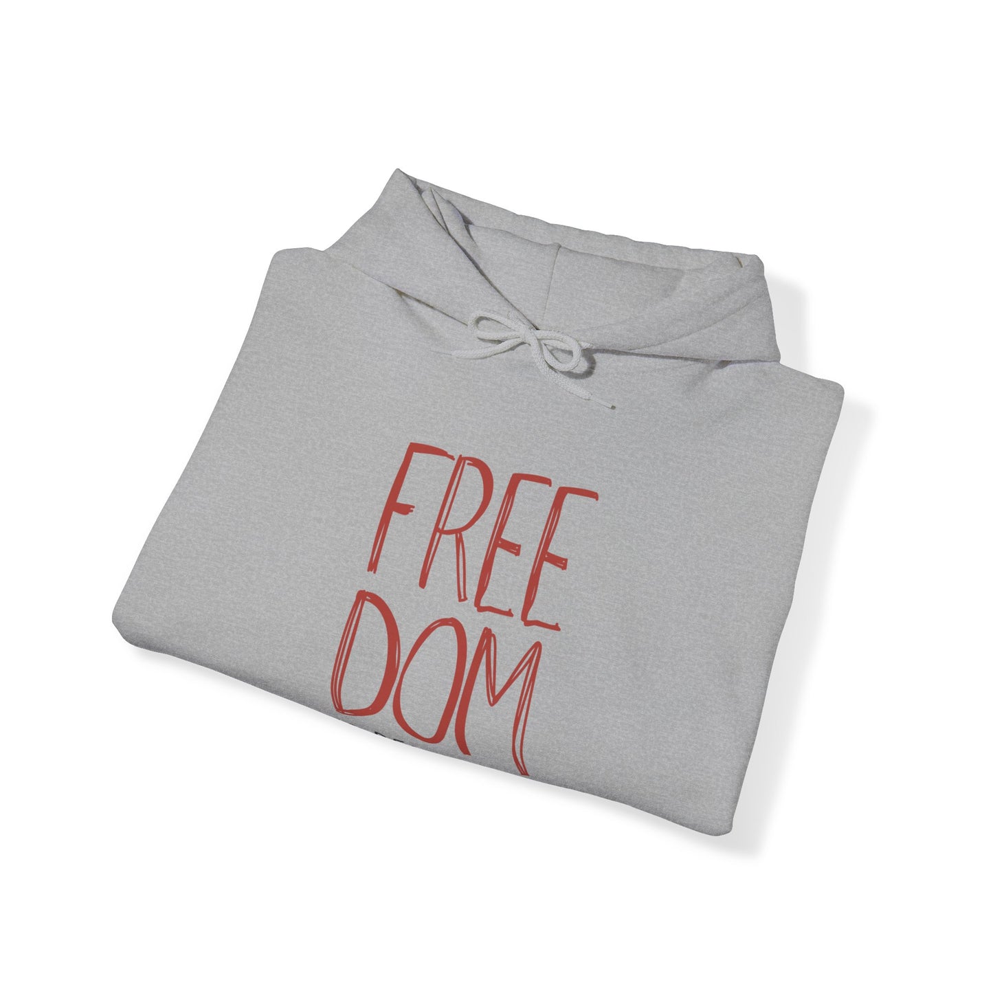 Democracy Hoodie, Freedom is Democracy, Democracy Sweatshirt