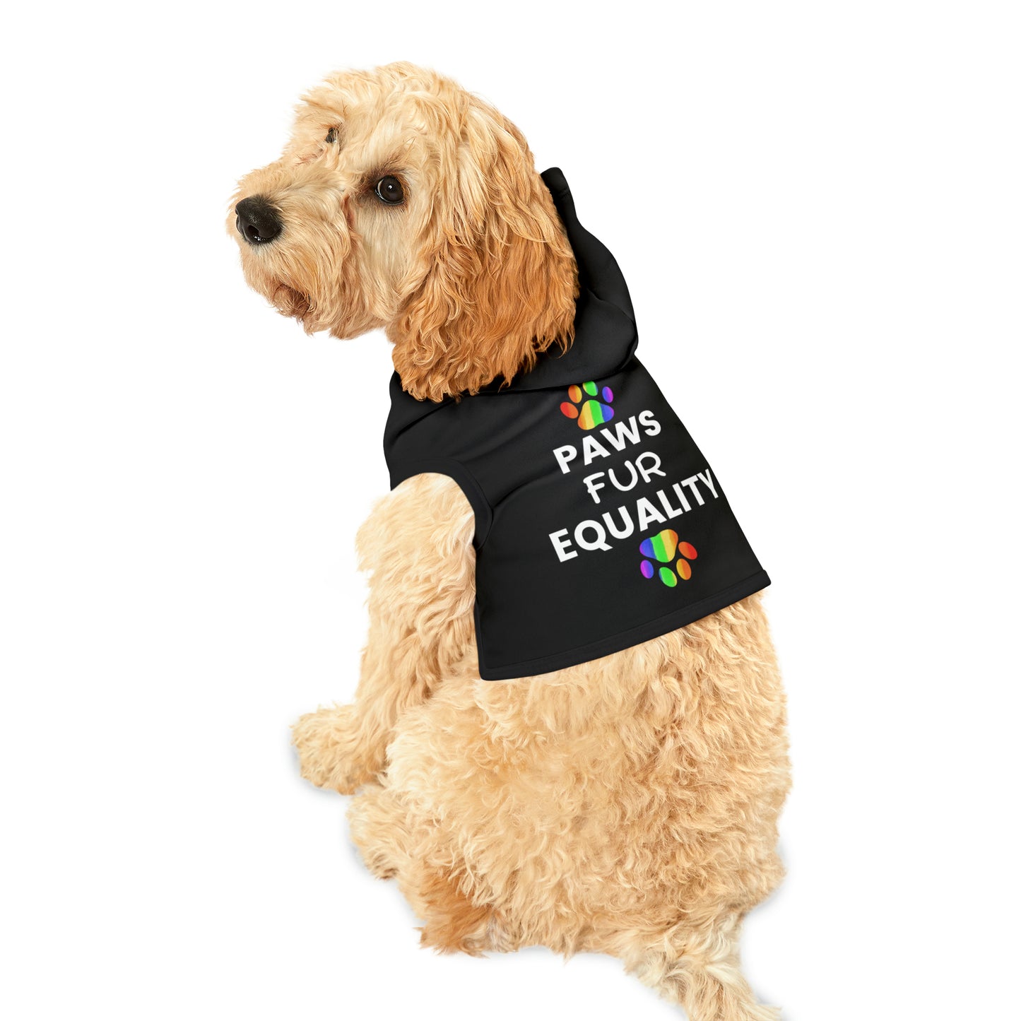 Paws for Equality Pet Hoodie, Multiple Sizes, Custom Pet Shirt, Pets for Equality, Pets for Pride, Democracy Signs