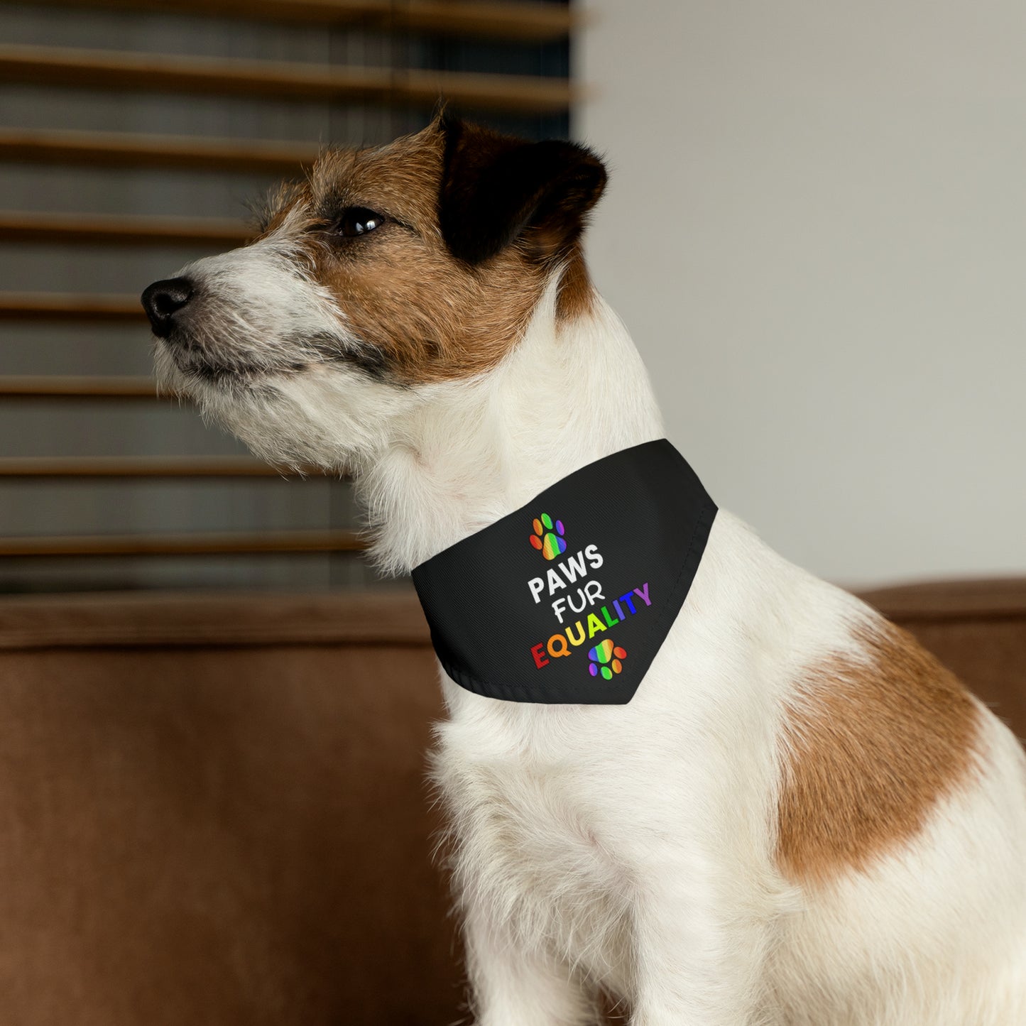 Paws Fur Equality Pet Bandana Collar, Multiple Sizes, Pets for Equality, Custom Pet Shirt, Pets for Pride, Democracy Signs