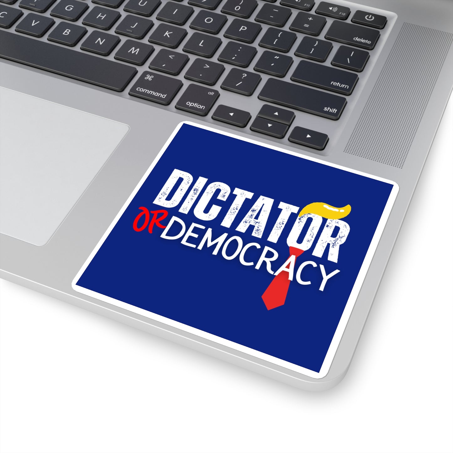 Dictator or Democracy Sticker, Vinyl, Multiple Sizes, Free Shipping, Democracy Sticker, Vote Sticker, Democrat Sticker