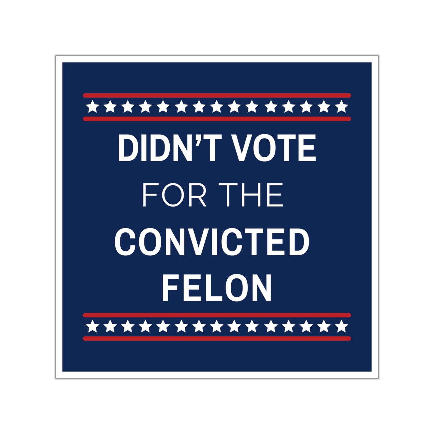 Didn't Vote for the Convicted Felon Sticker, Anti Trump Sticker, Indoor/Outdoor, Multiple Sizes,  Democracy Sticker, Resistance Sticker