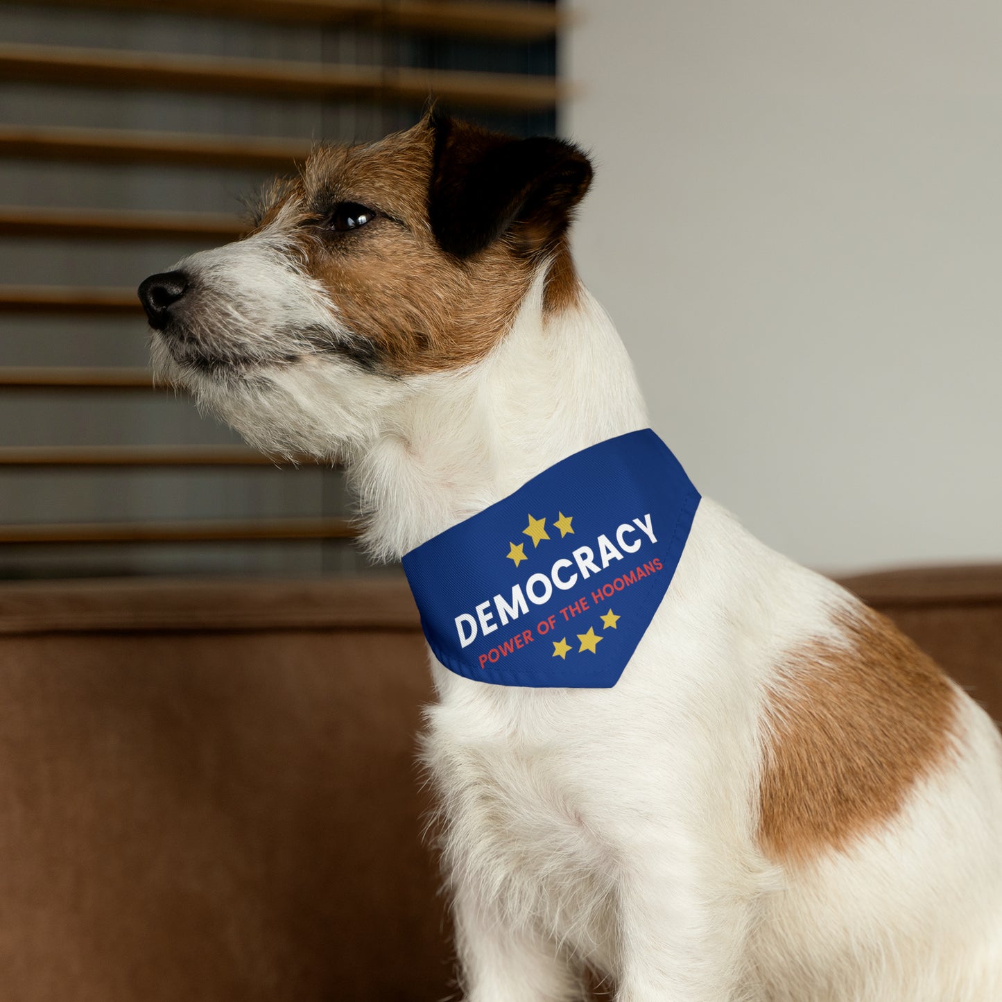 Democracy Power of Hoomans Pet Bandana Collar, Multiple Sizes, Pets for Democracy, Custom Pet Clothing, Democracy Signs