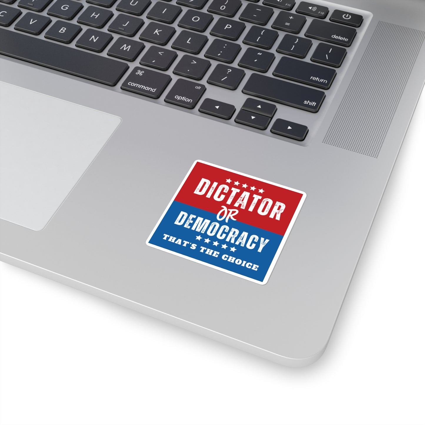 Dictator or Democracy Sticker, Vinyl, Multiple Sizes Avail, Free Shipping, Democracy Sticker, Vote Sticker, Democrat Sticker