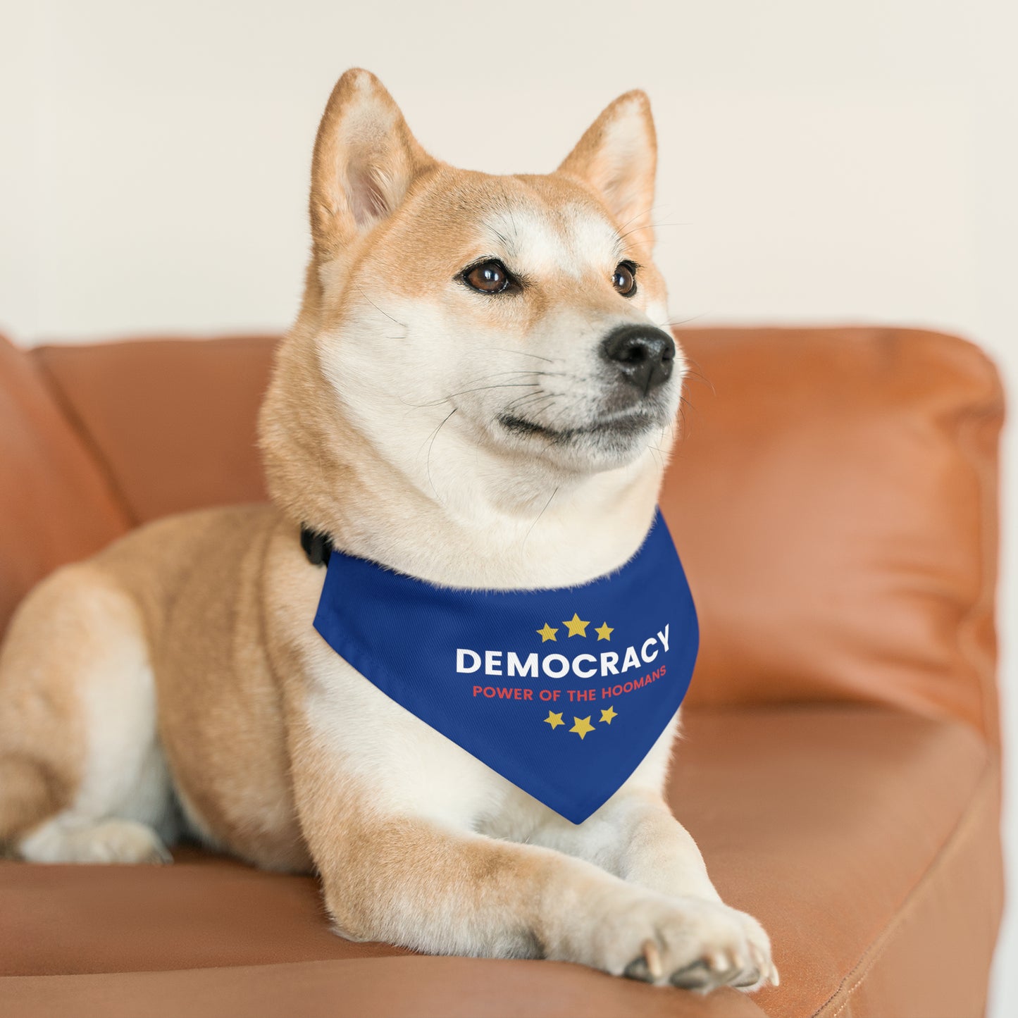 Democracy Power of Hoomans Pet Bandana Collar, Multiple Sizes, Pets for Democracy, Custom Pet Clothing, Democracy Signs