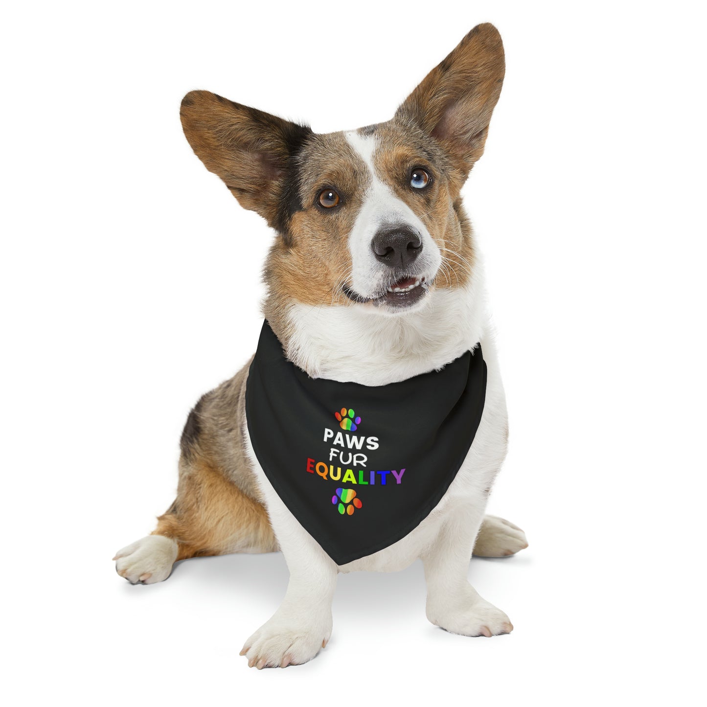 Paws Fur Equality Pet Bandana Collar, Multiple Sizes, Pets for Equality, Custom Pet Shirt, Pets for Pride, Democracy Signs