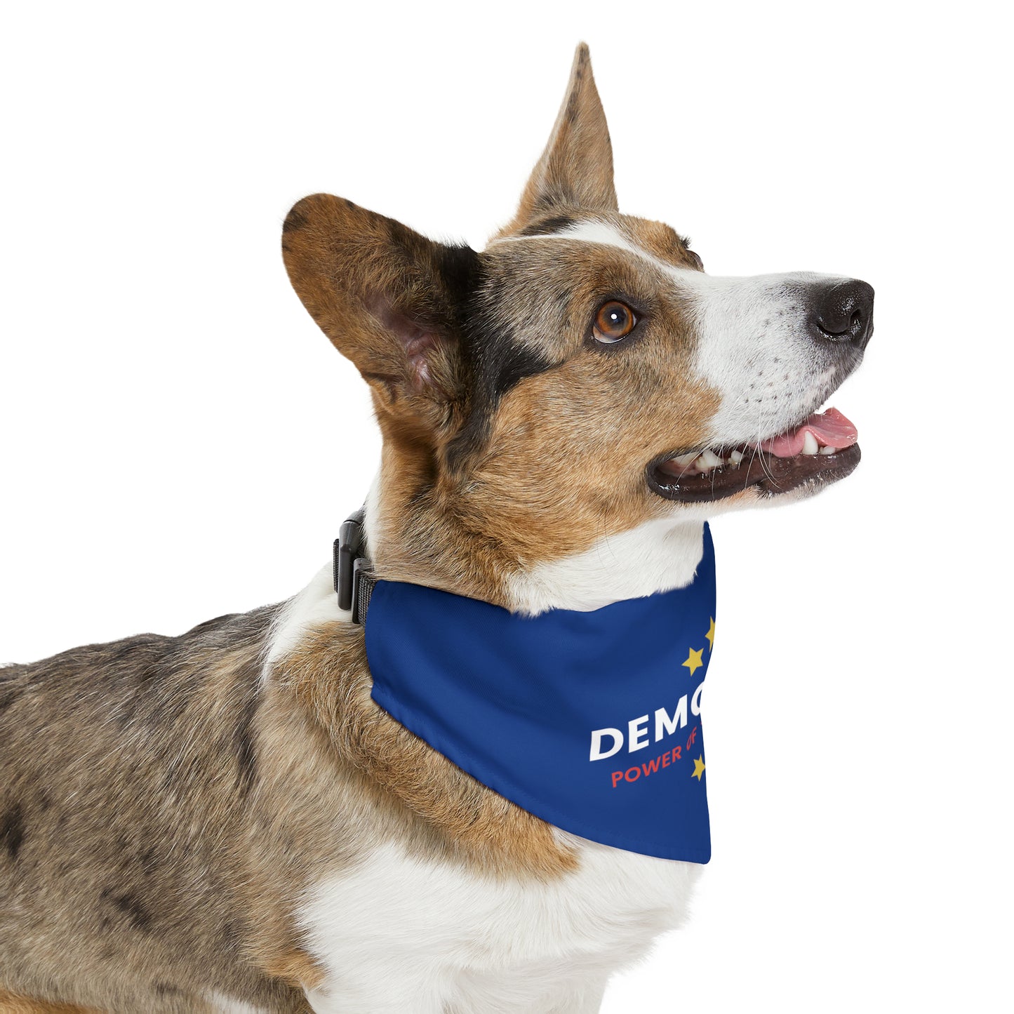 Democracy Power of Hoomans Pet Bandana Collar, Multiple Sizes, Pets for Democracy, Custom Pet Clothing, Democracy Signs