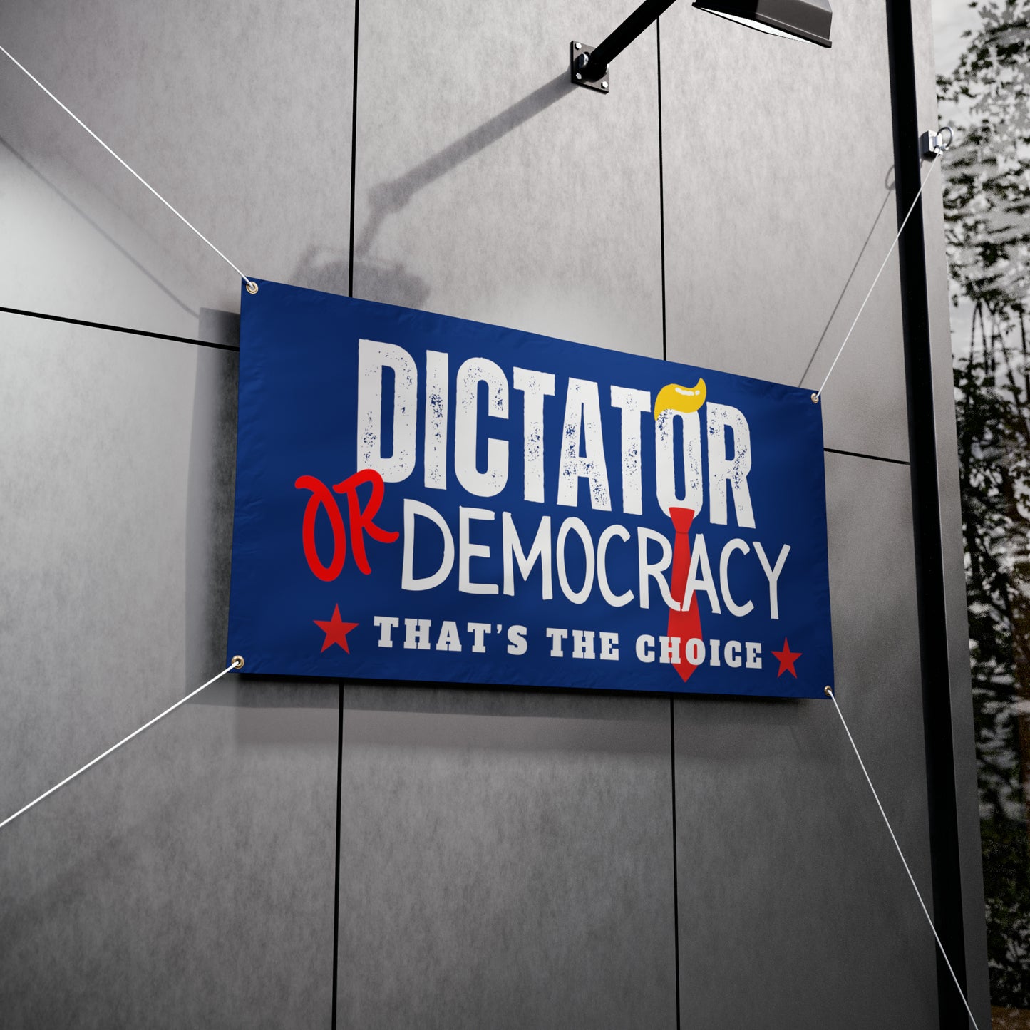 Dictator or Democracy Vinyl Indoor/Outdoor Banner, 48 x 24 or 72 x 36, Democracy Signs, Vote Sign, Anti Trump Sign