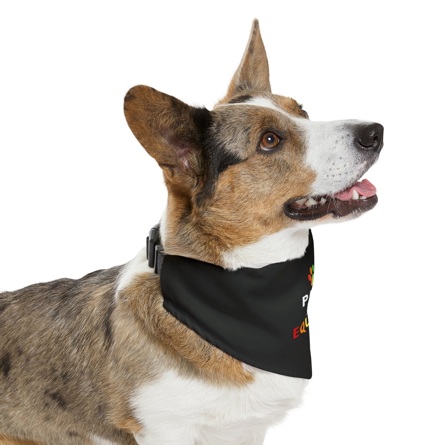 Paws Fur Equality Pet Bandana Collar, Multiple Sizes, Pets for Equality, Custom Pet Shirt, Pets for Pride, Democracy Signs