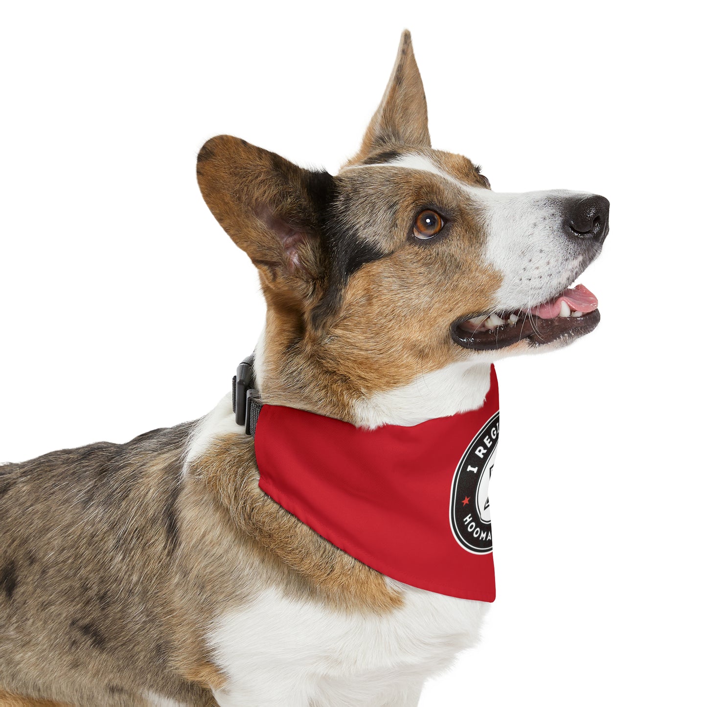 I Register Hoomans to Vote Bandana Collar, Vote.org QR Code, Multiple Sizes, Custom Pet Shirt, Pets for Democracy, Register to Vote