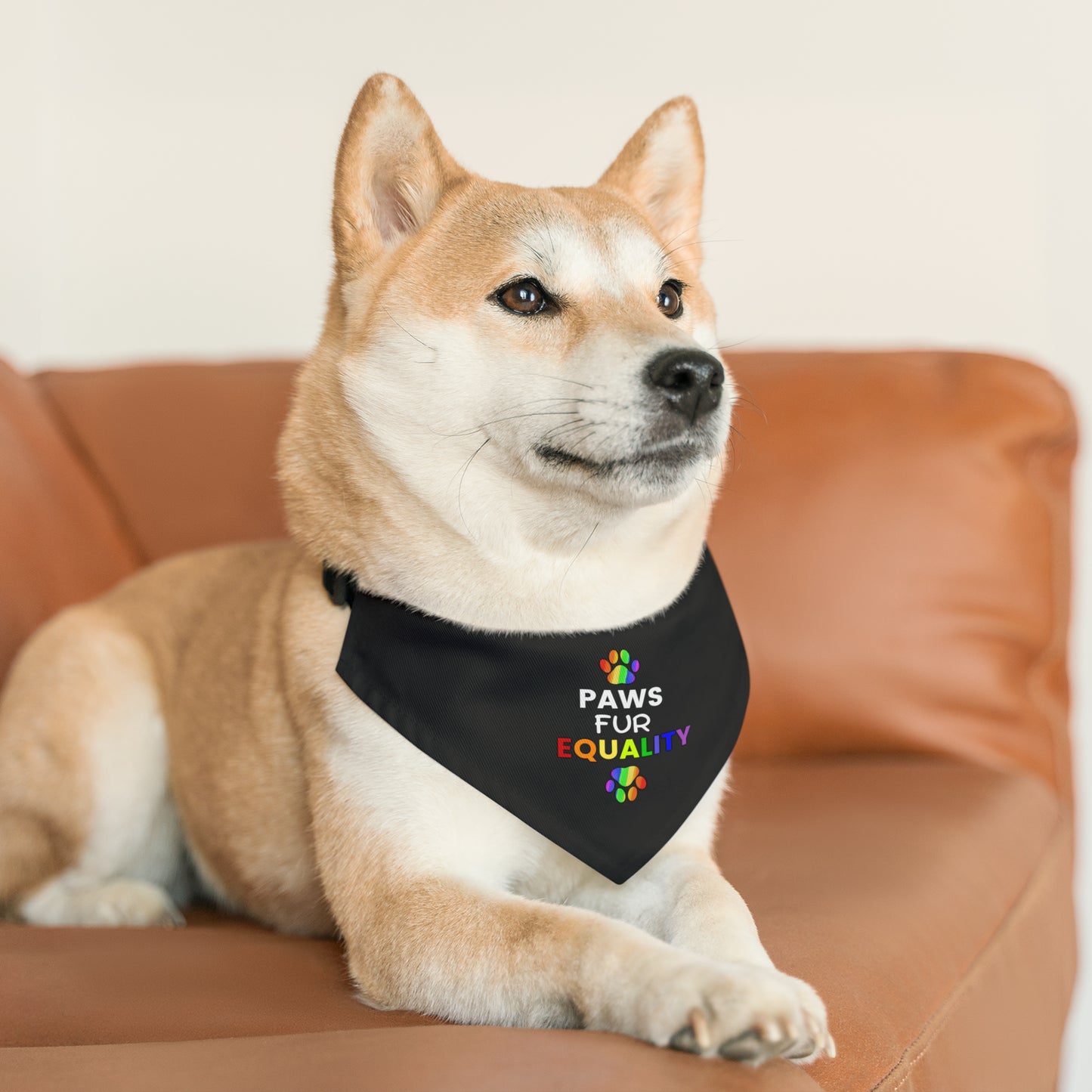 Paws Fur Equality Pet Bandana Collar, Multiple Sizes, Pets for Equality, Custom Pet Shirt, Pets for Pride, Democracy Signs