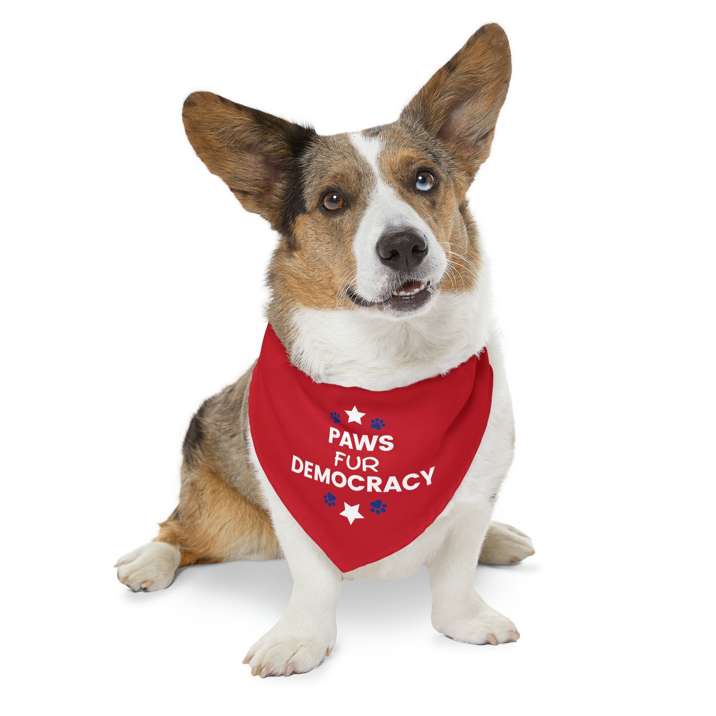 Paws Fur Democracy Pet Bandana Collar, Multiple Sizes, Pets for Democracy, Custom Pet Clothing, Democracy Signs