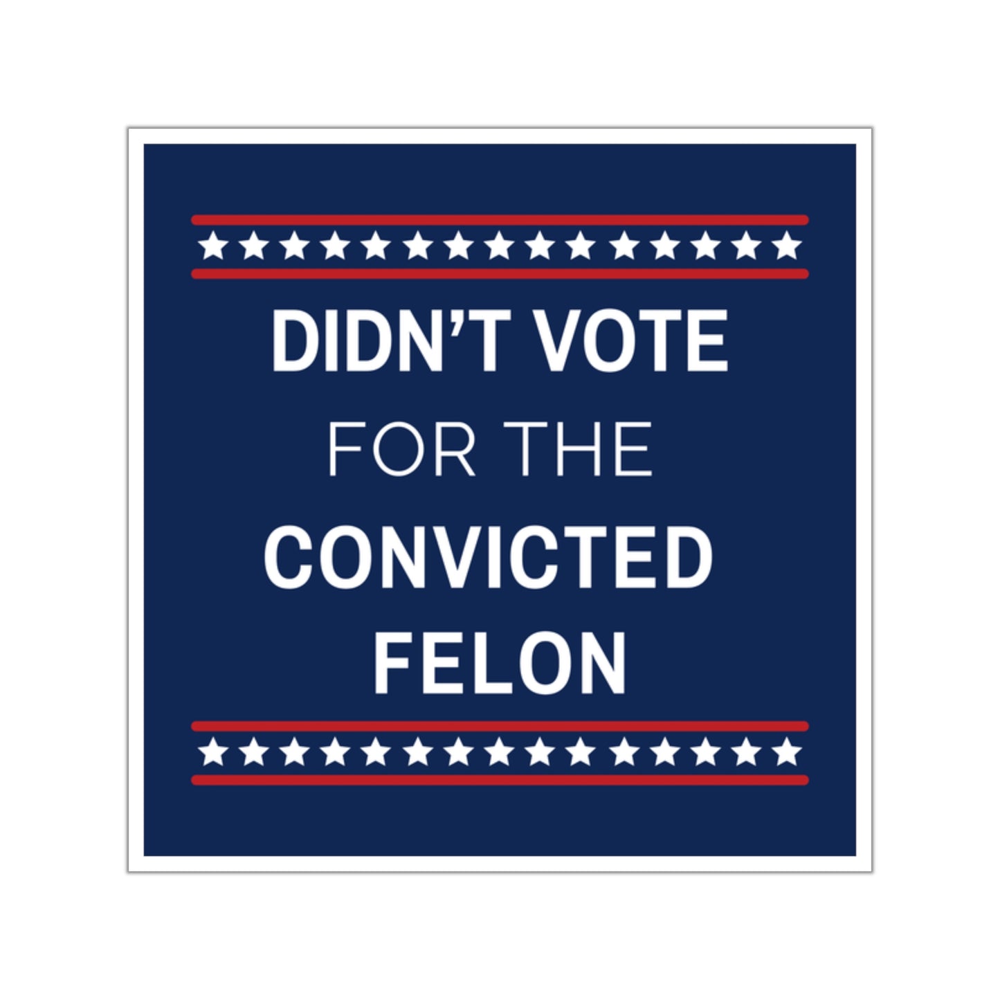 Didn't Vote for the Convicted Felon Sticker, Anti Trump Sticker, Indoor/Outdoor, Multiple Sizes,  Democracy Sticker, Resistance Sticker