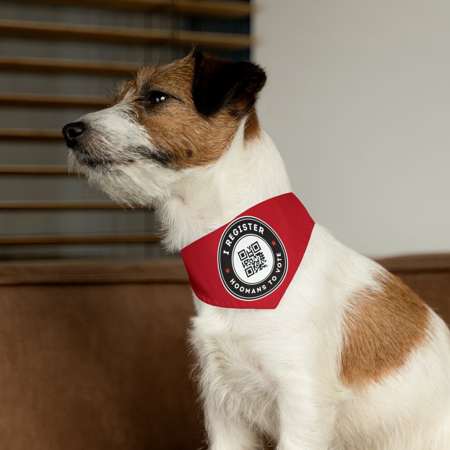 I Register Hoomans to Vote Bandana Collar, Vote.org QR Code, Multiple Sizes, Custom Pet Shirt, Pets for Democracy, Register to Vote