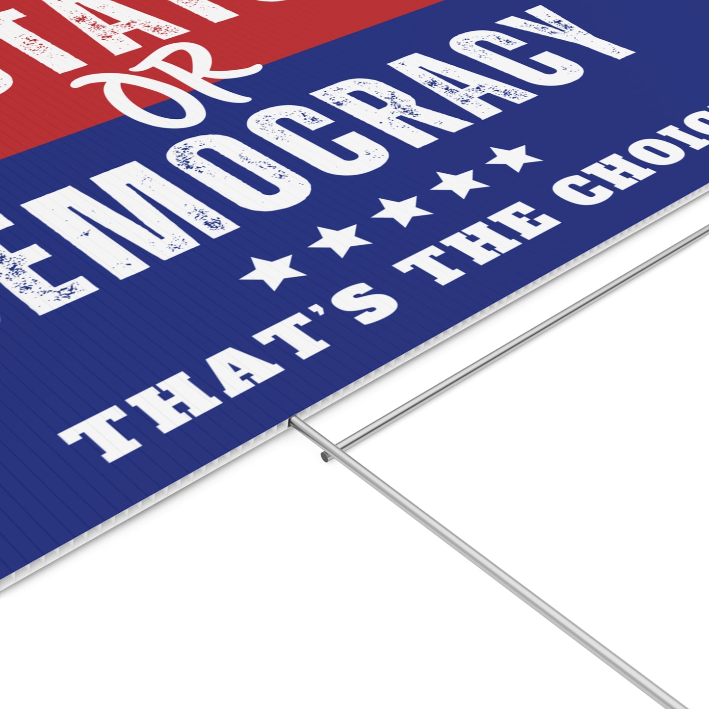 Political Yard Sign, Dictator or Democracy, Election Yard Sign, Anti Trump Sign