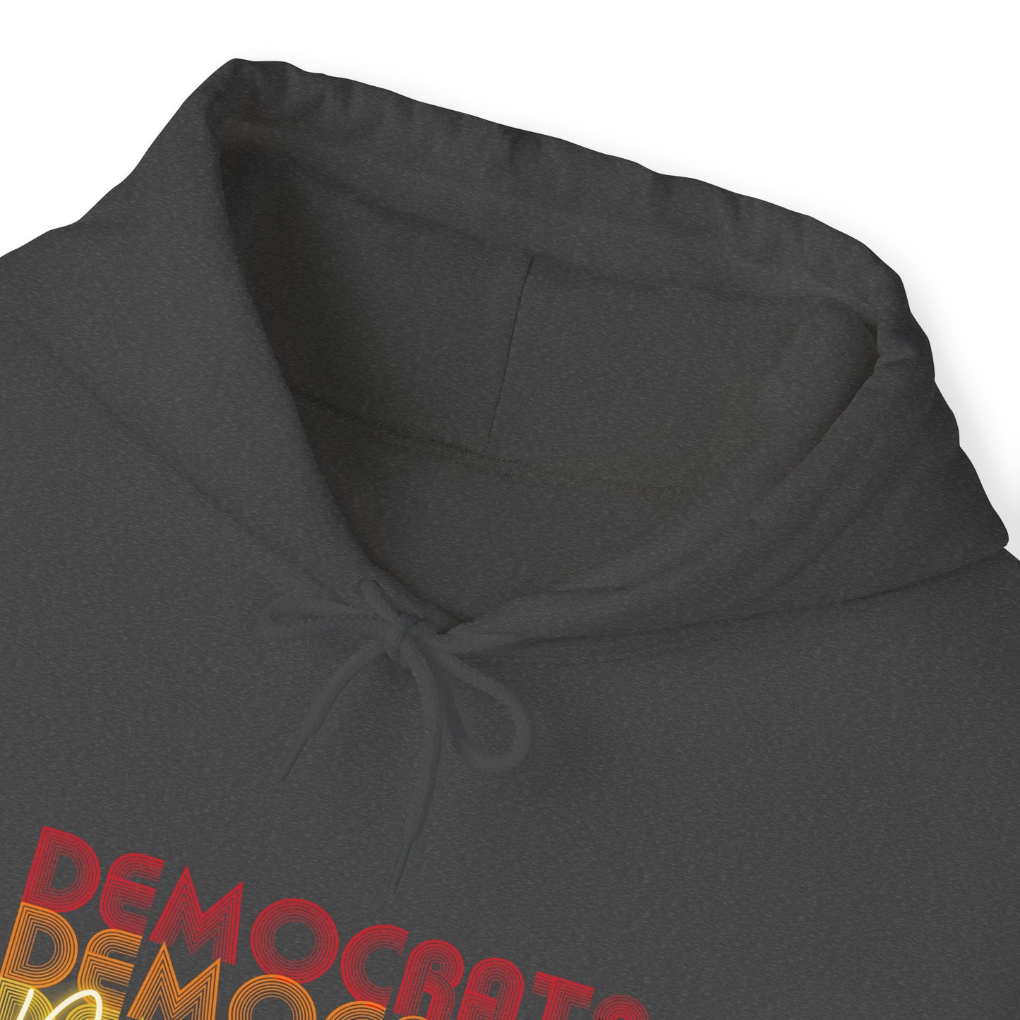 Democracy Hoodie, Democrats Do Democracy, Unisex Hooded Sweatshirt, 100% Cotton, Multiple Colors