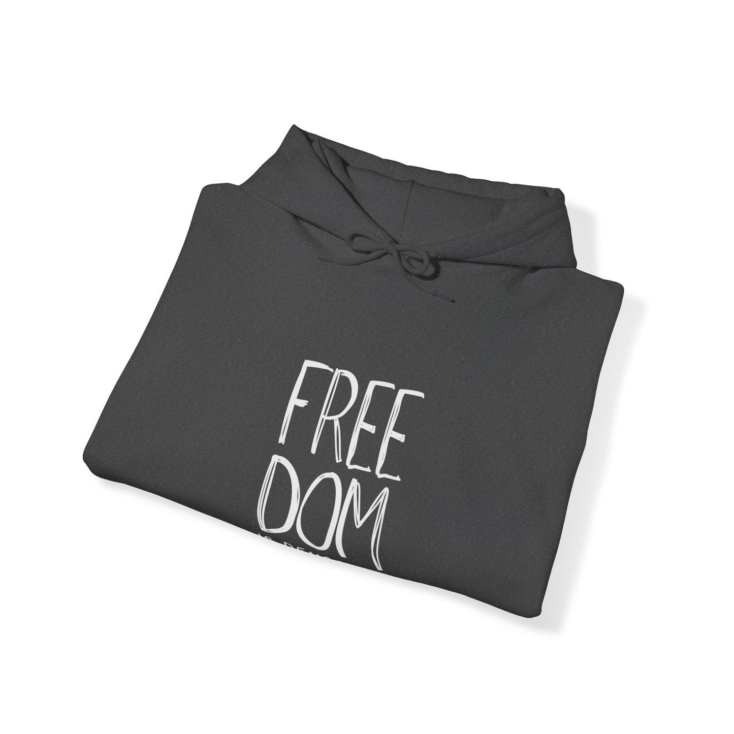 Democracy Hoodie, Freedom is Democracy, Democracy Clothing