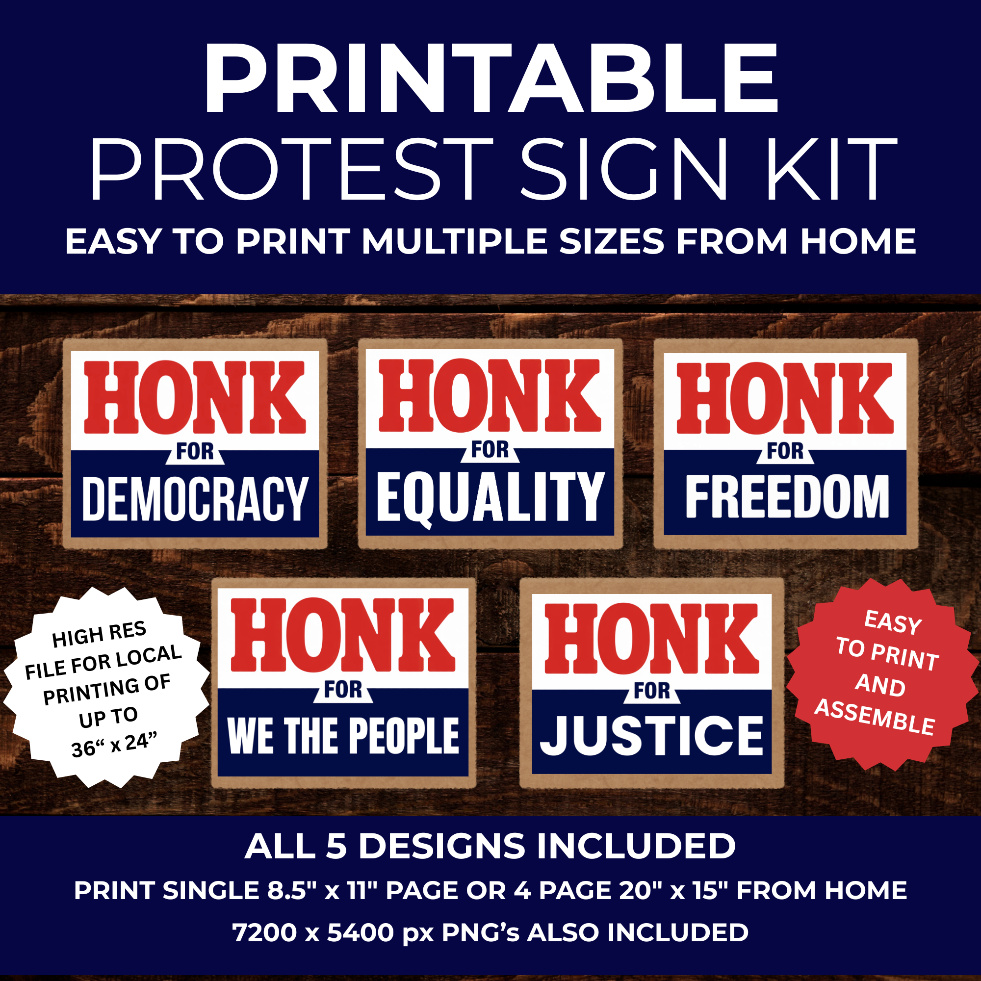 Editable Protest Signs Anti ICE Protest Signs - Print at Home or Enlarge Locally – Democracy Signs