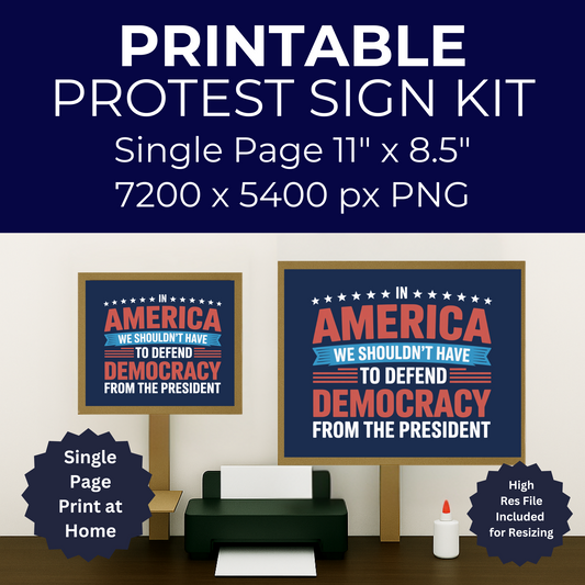 Defend Democracy Printable Protest Sign, Digital Download Poster, Protest PNG, Anti Trump PNG