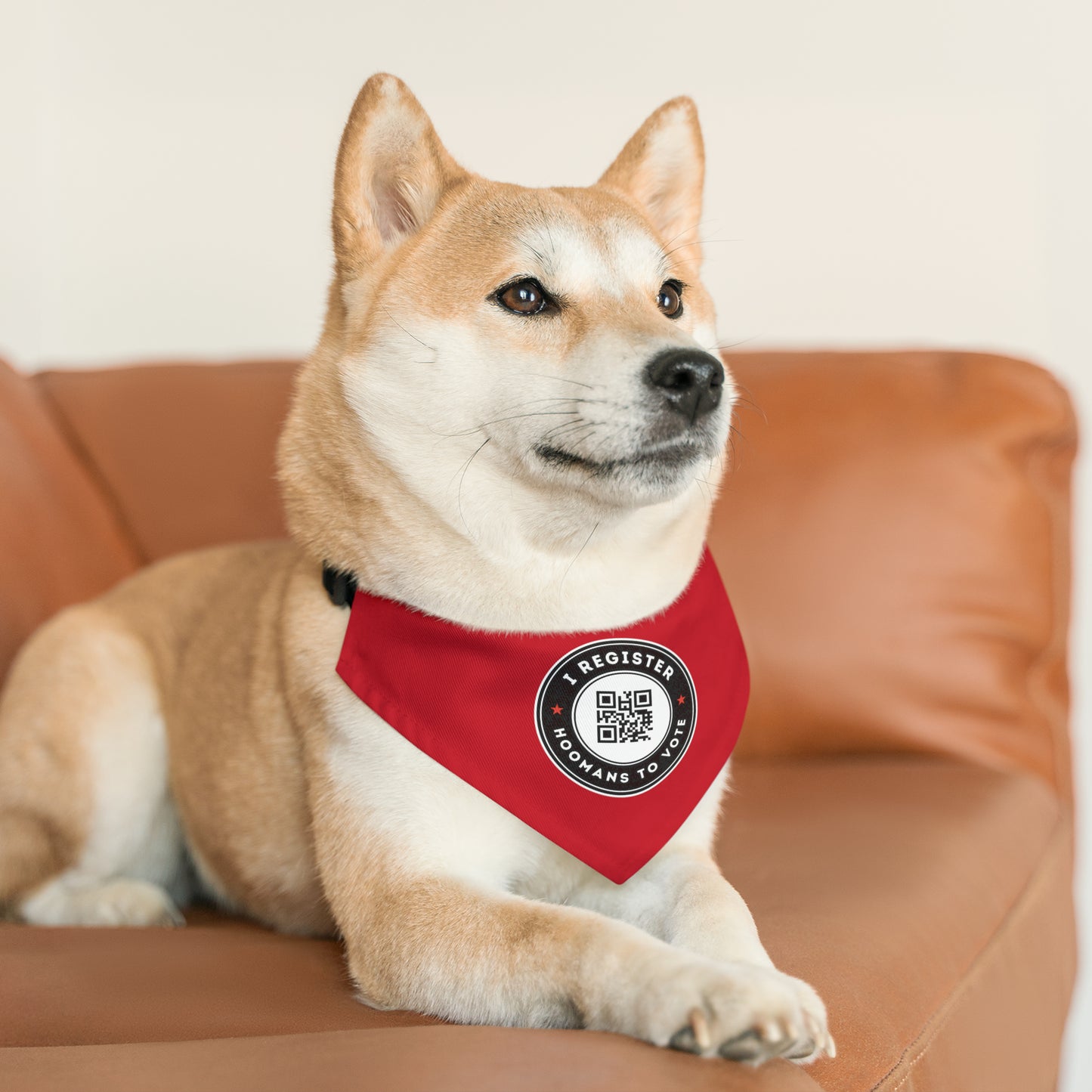 I Register Hoomans to Vote Bandana Collar, Vote.org QR Code, Multiple Sizes, Custom Pet Shirt, Pets for Democracy, Register to Vote