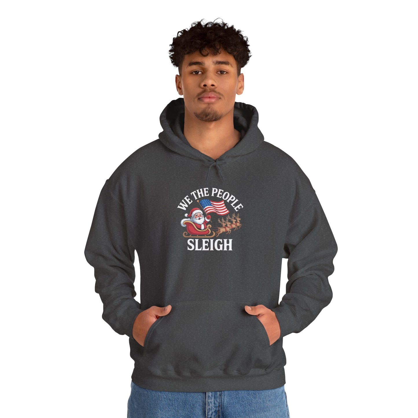 We the People Sleigh Hoodie, Merry Resistmas Hoodie, Holiday Hoodie, Christmas Hoodie, Resistance Hoodie, Multiple Colors, Free Shipping