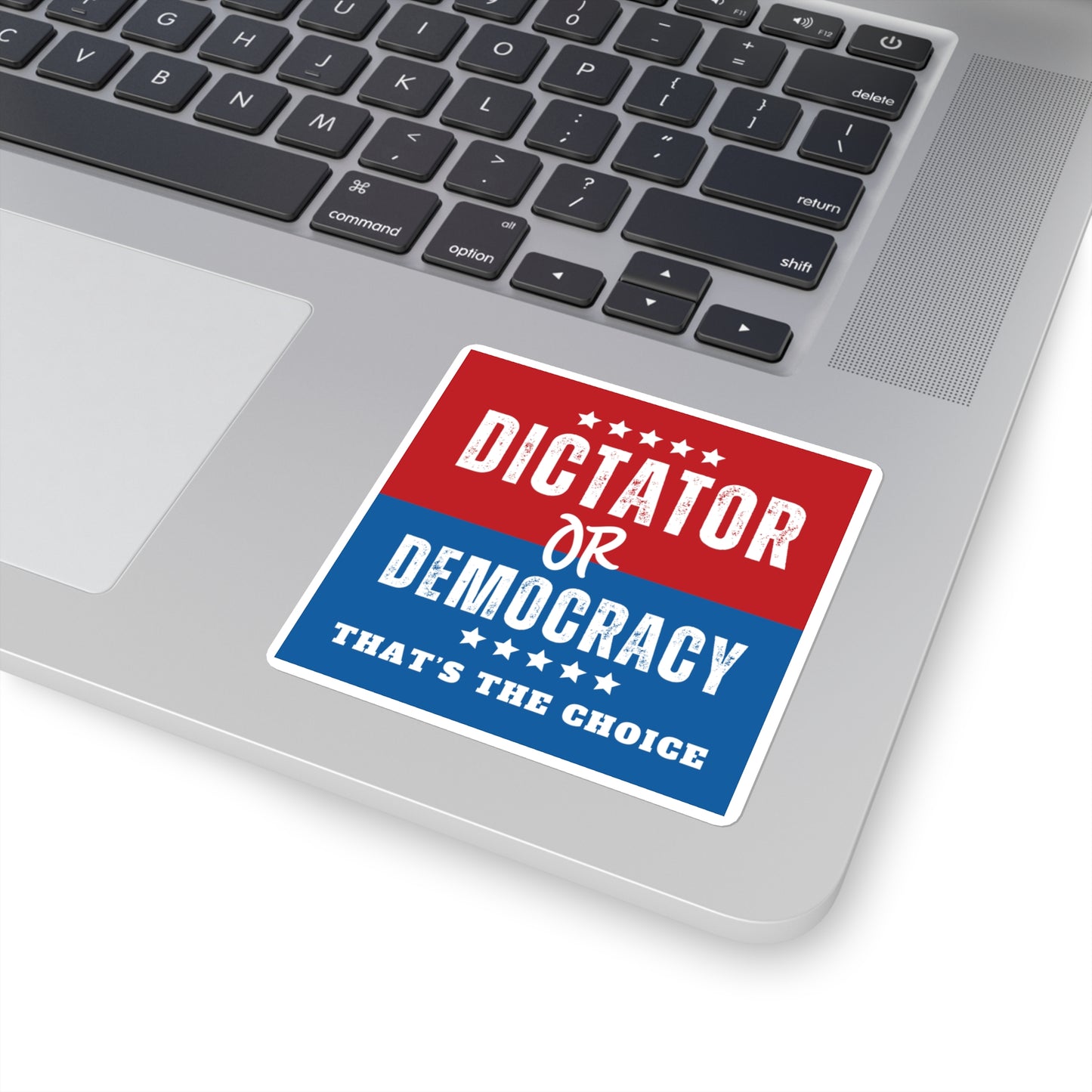 Dictator or Democracy Sticker, Vinyl, Multiple Sizes Avail, Free Shipping, Democracy Sticker, Vote Sticker, Democrat Sticker