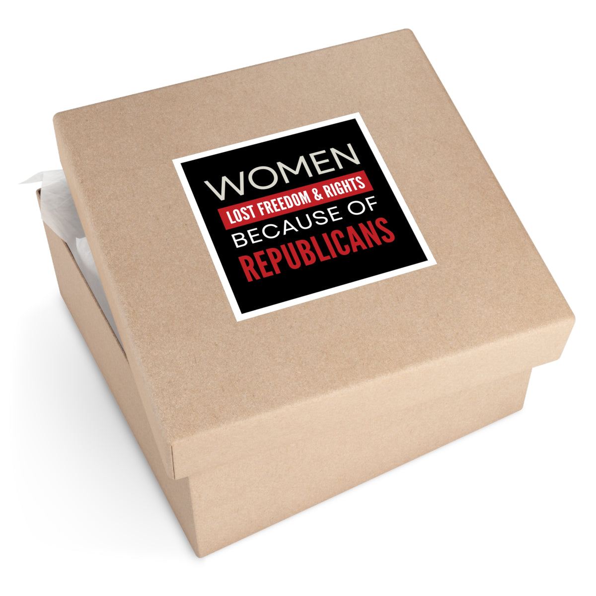 Woman Rights Stickers Women's Rights Sticker, Waterproof, Pro Choice Sticker – Democracy Signs