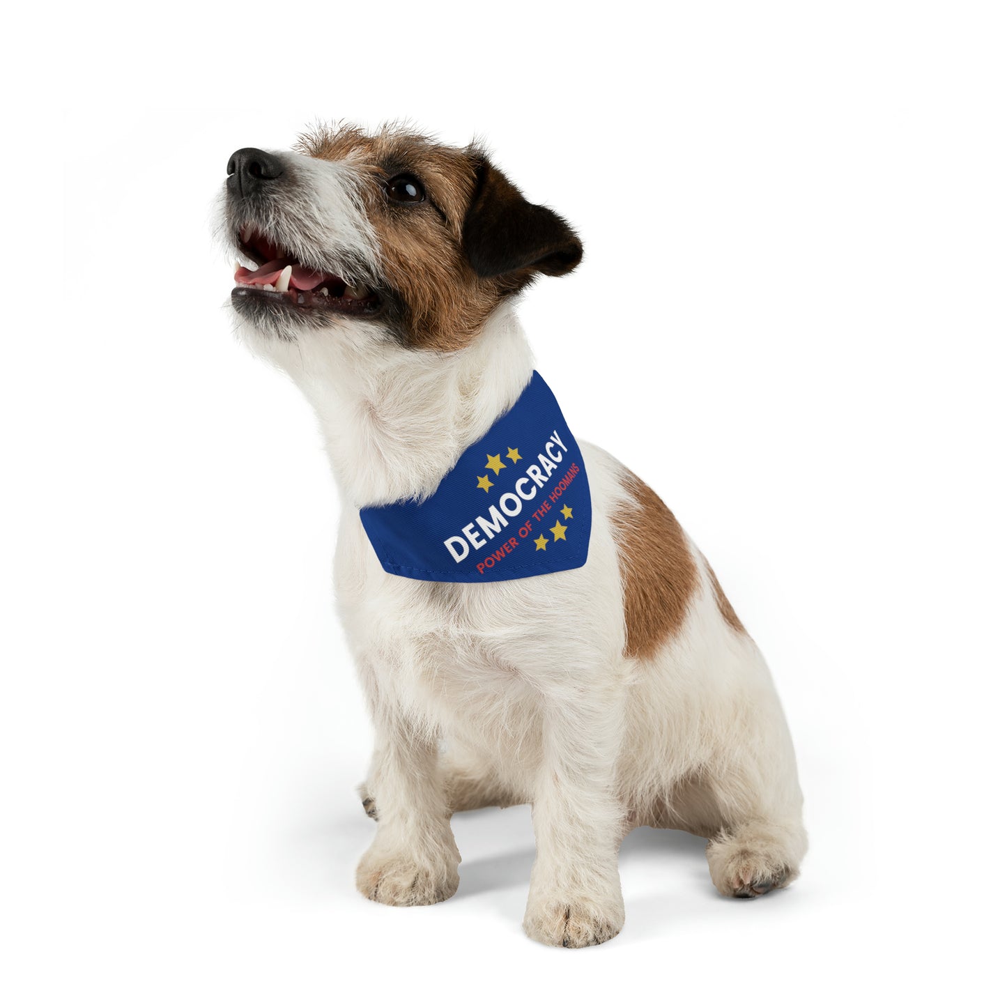 Democracy Power of Hoomans Pet Bandana Collar, Multiple Sizes, Pets for Democracy, Custom Pet Clothing, Democracy Signs