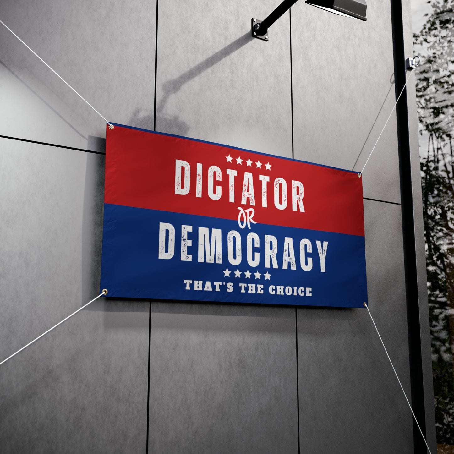 Democracy Banner, Dictator or Democracy, Vinyl Indoor/Outdoor Banner