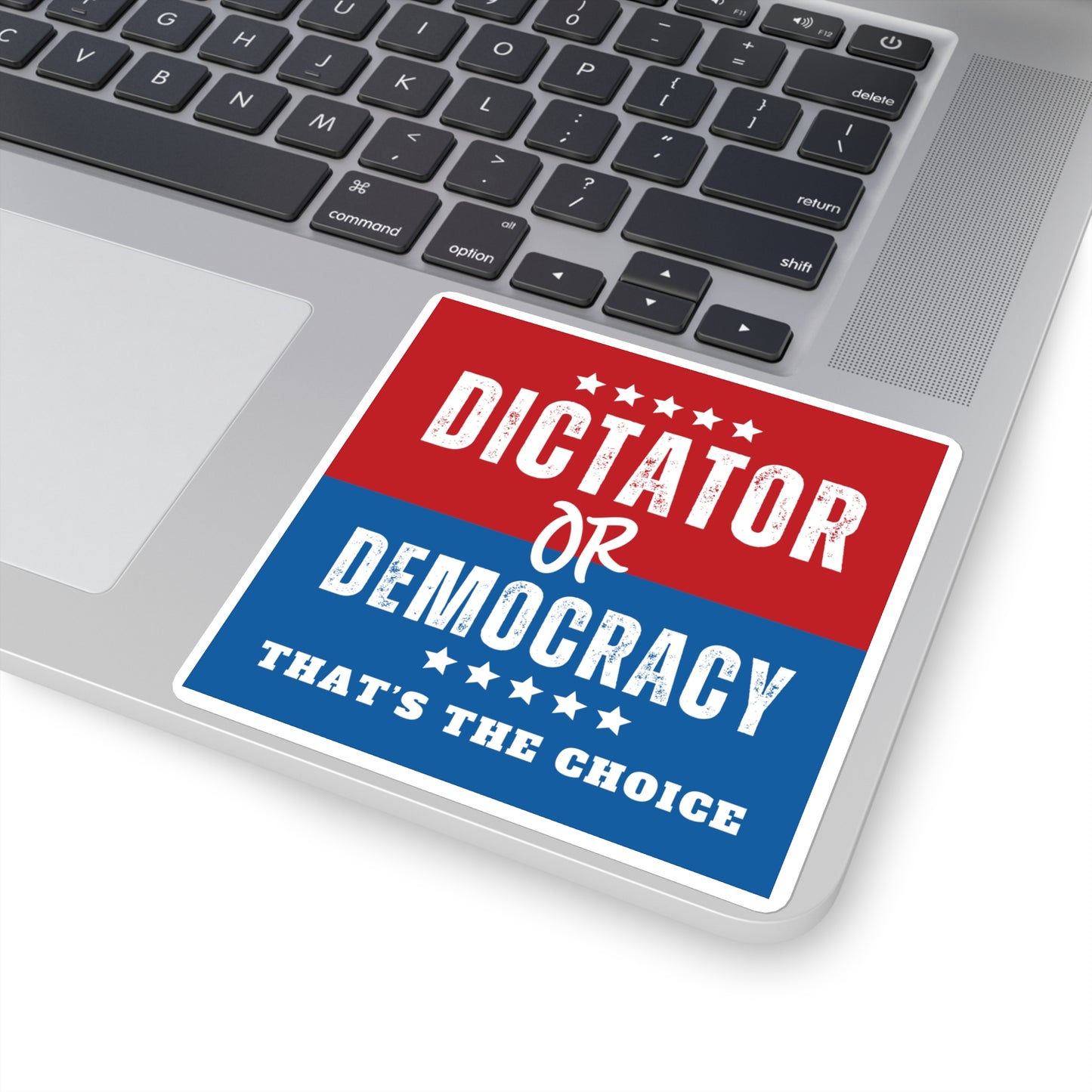 Dictator or Democracy Sticker, Vinyl, Multiple Sizes Avail, Free Shipping, Democracy Sticker, Vote Sticker, Democrat Sticker