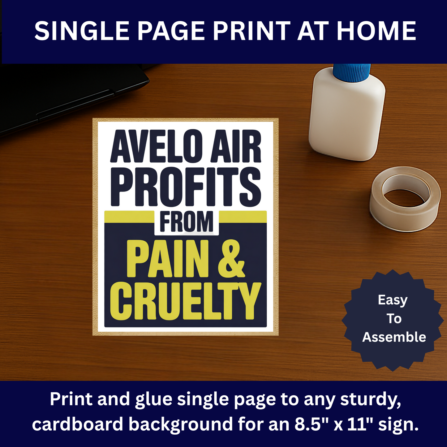 Avelo Air Protest Signs, Printable Immigration Protest Signs, Anti Ice Protest Signs, 3 Signs Included