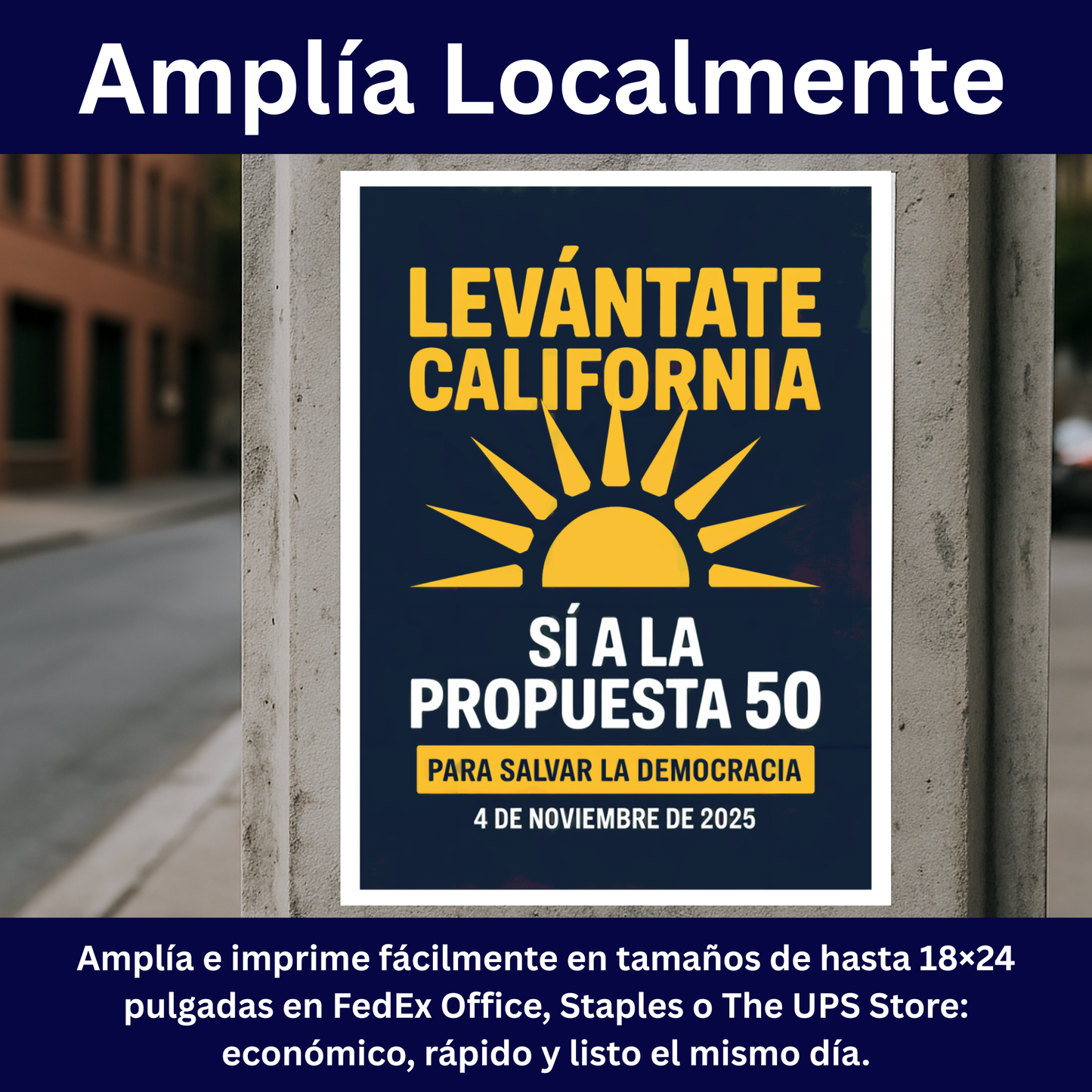 Yes On Prop 50 Posters - Digital Download - Bilingual - Printable Posters