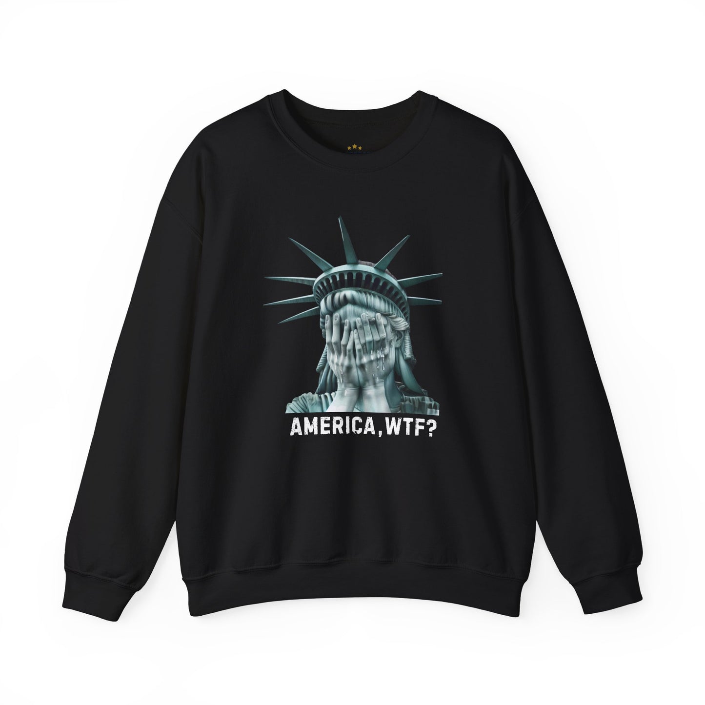 Anti-Trump America WTF Sweatshirt – Pro-Democracy Political Activism Apparel