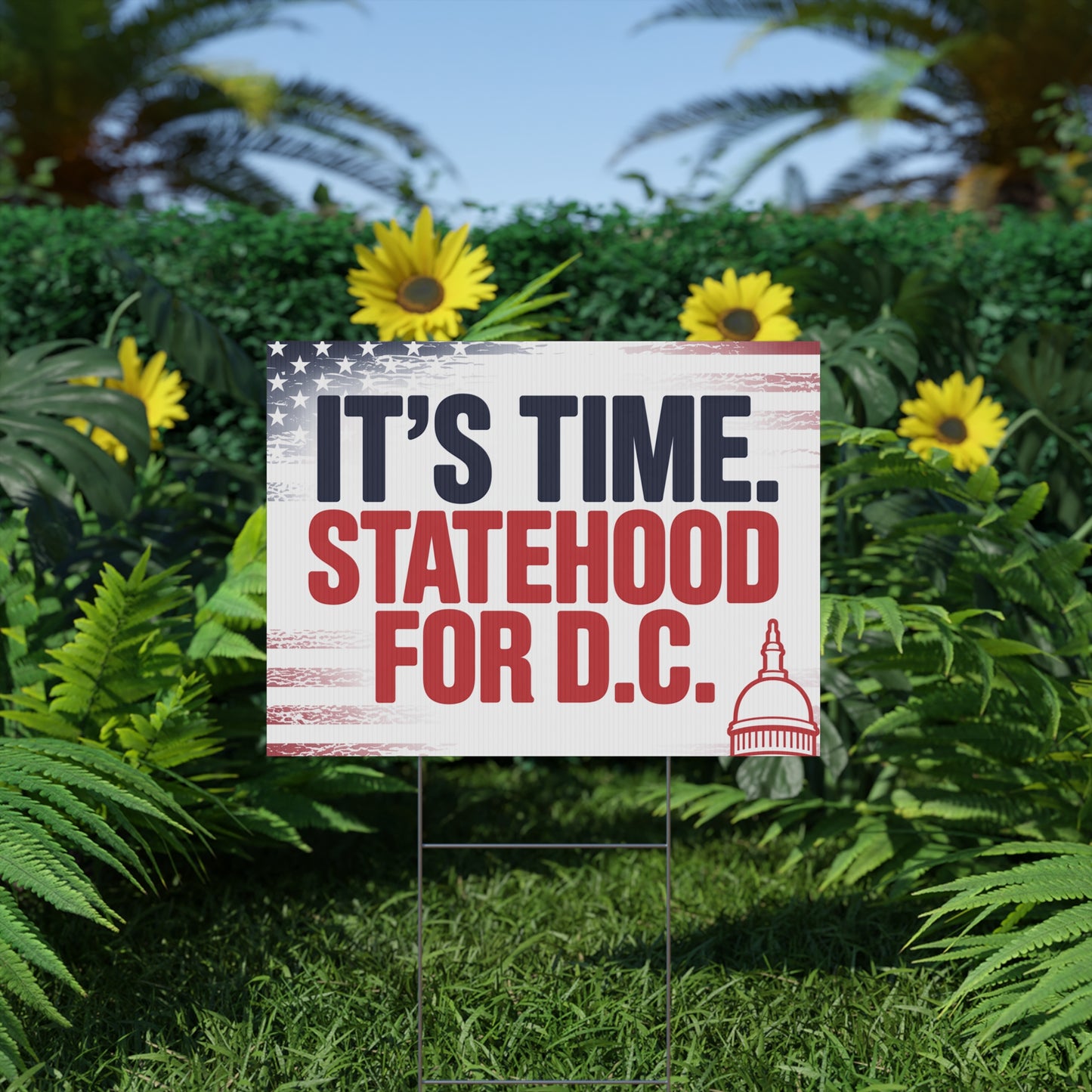Statehood for DC Yard Sign, Trump Takeover Signs, Free DC Sign, Hands Off Signs, Anti Trump Yard Signs, Resistance Yard Signs