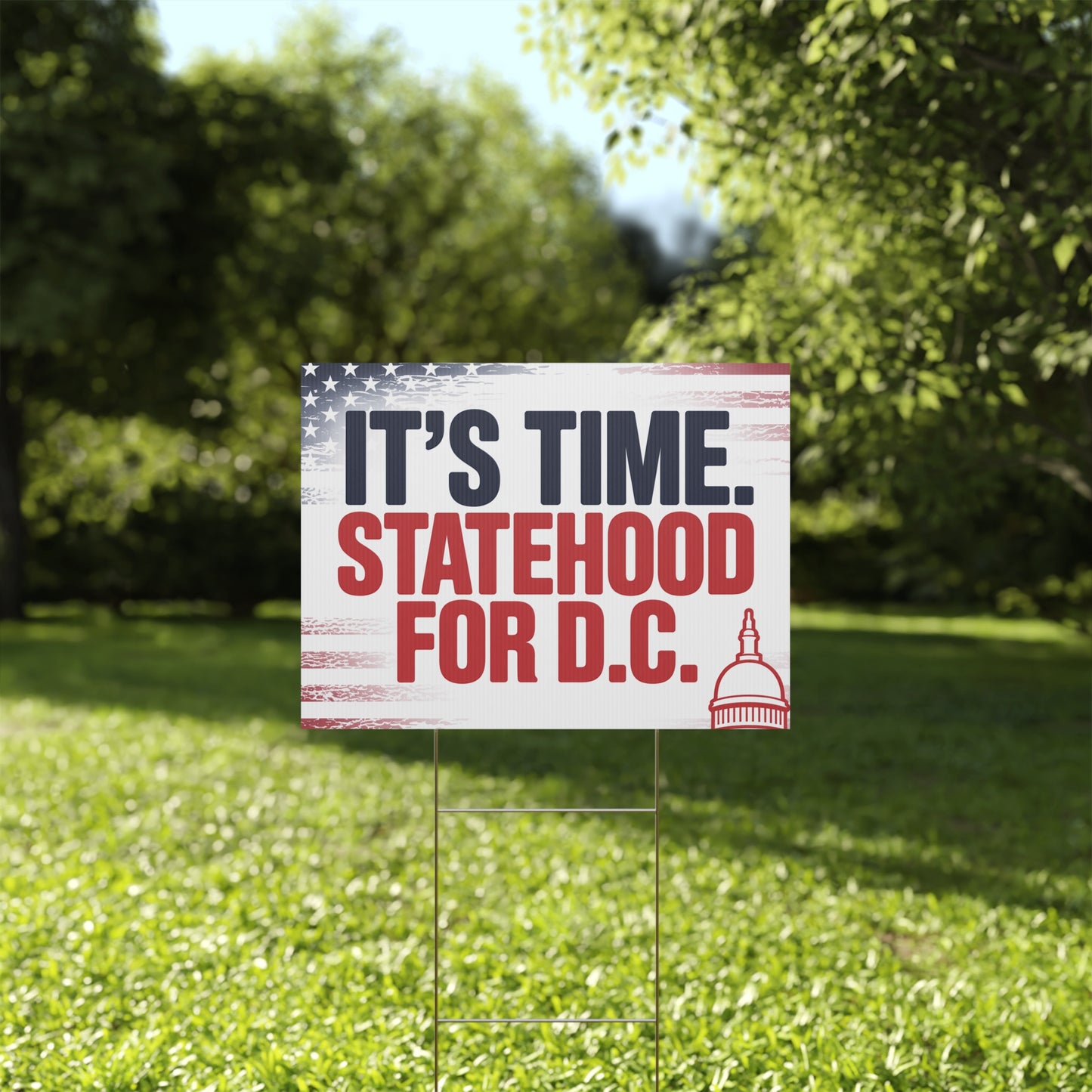 Statehood for DC Yard Sign, Trump Takeover Signs, Free DC Sign, Hands Off Signs, Anti Trump Yard Signs, Resistance Yard Signs