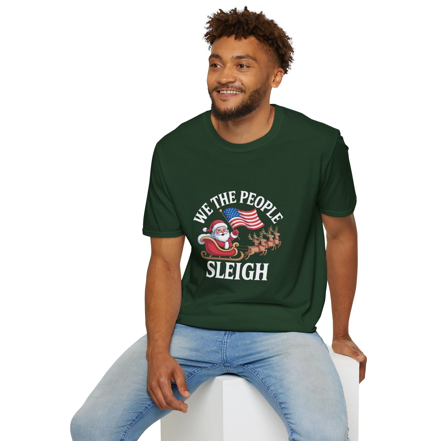 We the People Sleigh Tshirt, Unisex, Multiple Colors, Merry Resistmas Shirt, Holiday Tshirt, Holiday Shirt, Christmas Tshirt, Free Shipping