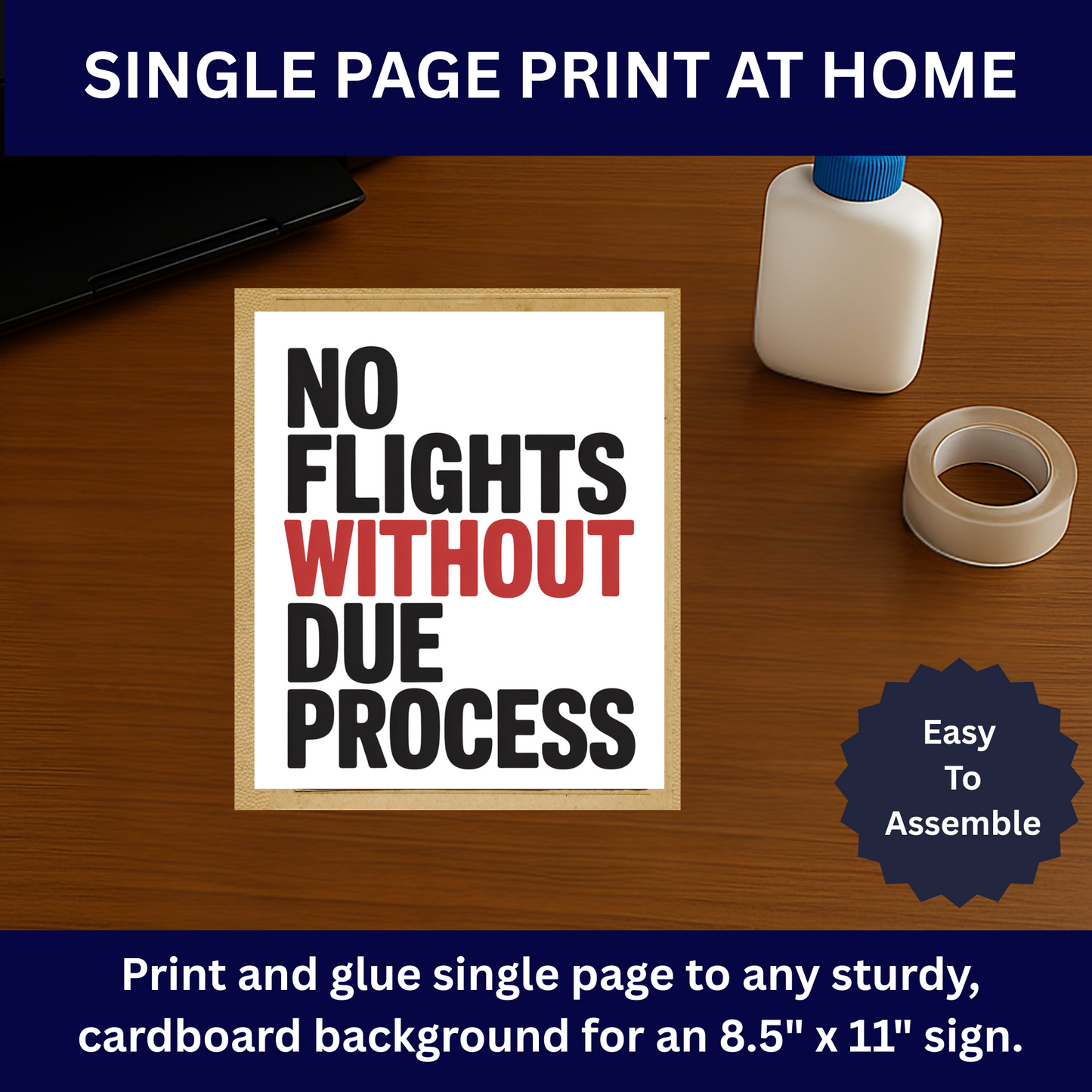 Avelo Air Protest Signs, Printable Immigration Protest Signs, Anti Ice Protest Signs, 3 Signs Included